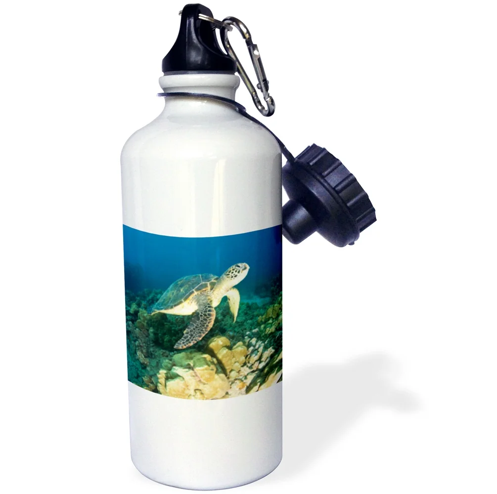Green Sea Turtle, Makena SP, Maui, Hawaii - US12 SWS0150 - Stuart Westmorland 21 oz Sports Water Bottle wb-89949-1
