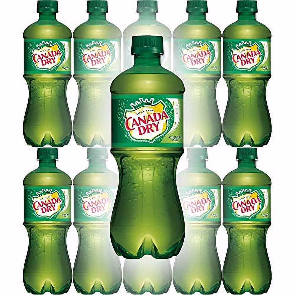 Canada Dry Ale 20Oz Soda Bottles (Pack Of 24)
