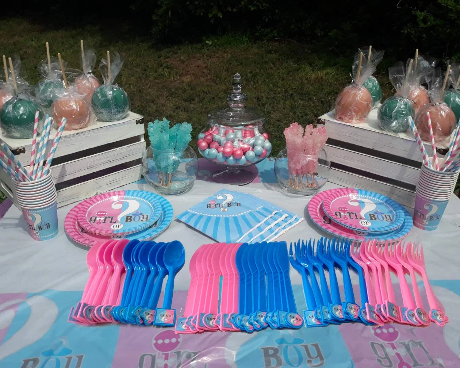 Gender Reveal Party Supplies Tableware 371 Pcs