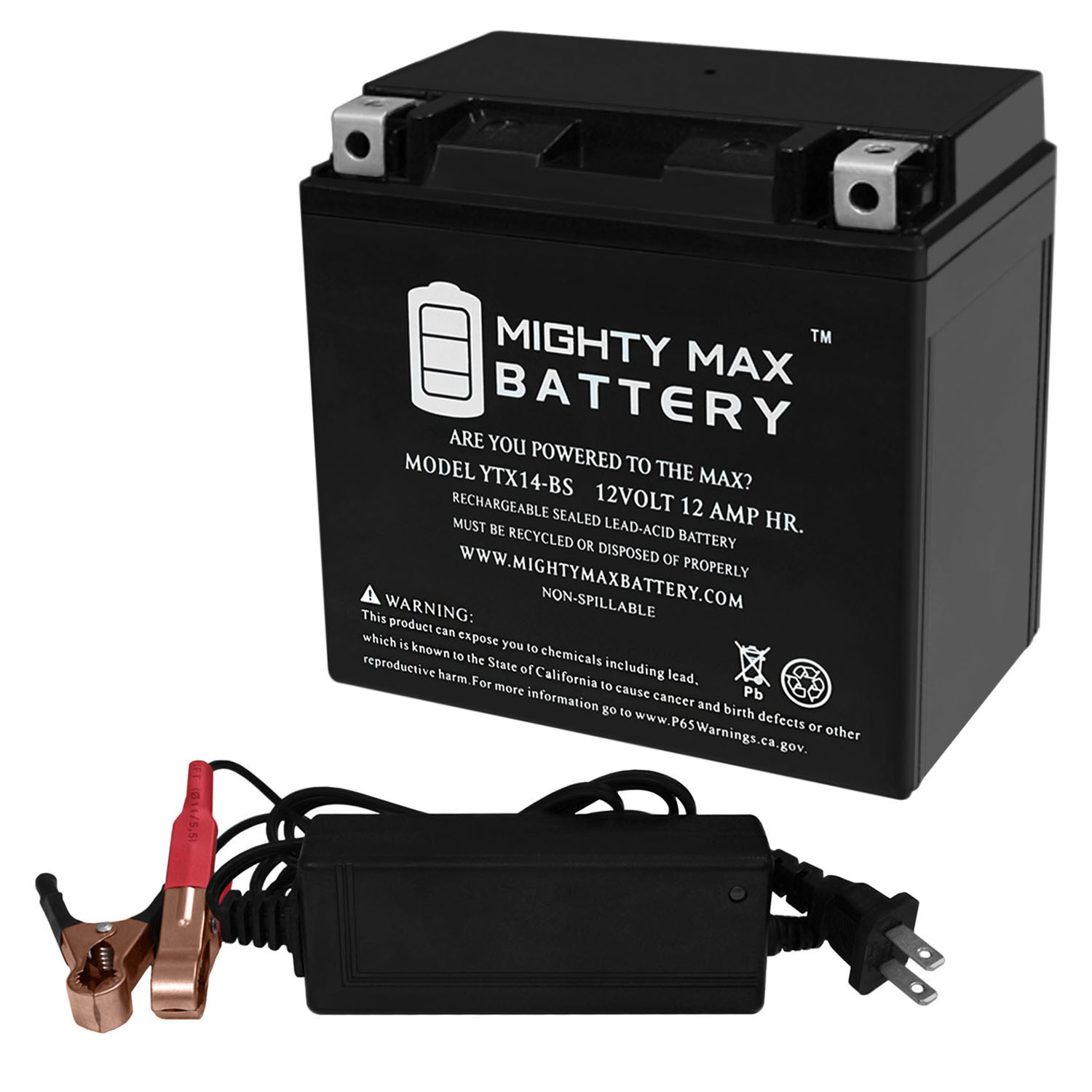 YTX14-BS 12V 12AH Battery for Honda Nighthawk 650 + 12V 2Amp Charger