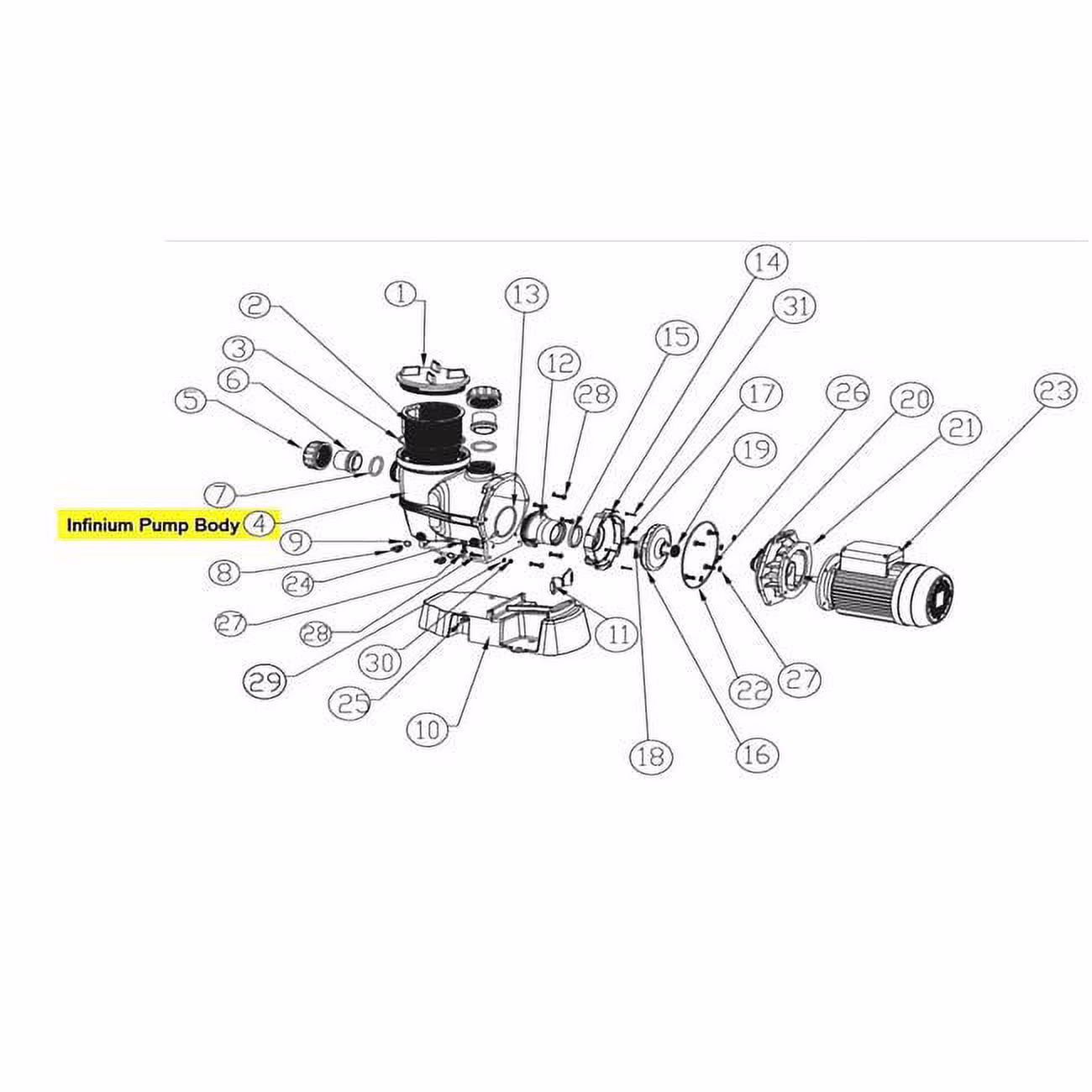Waterco 6340895 2 in. Infinium Pump Body with BSP Int Thread