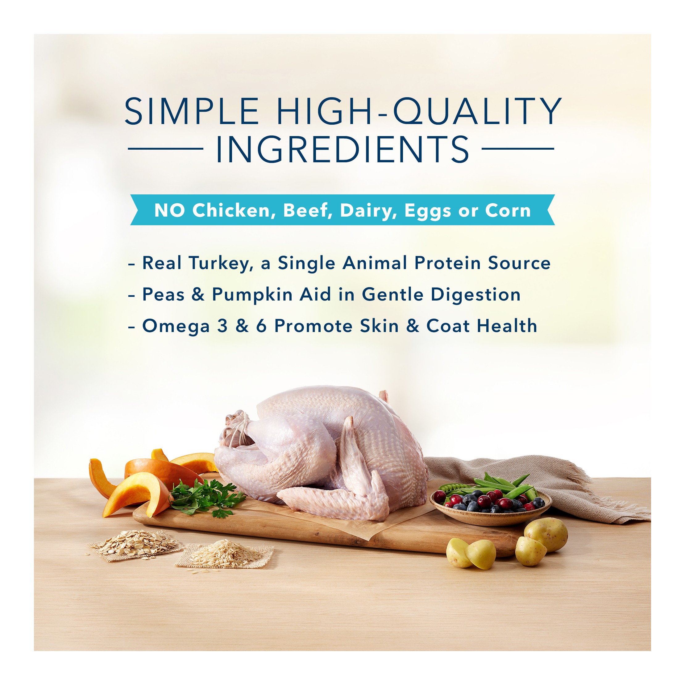 Basics Skin & Stomach Care Natural Adult Dry Dog Food with Turkey & Potato - 11lbs