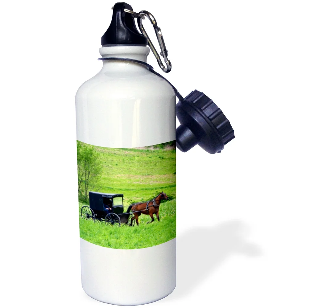 3dRose Amish farm with horse buggy near Berlin, Ohio - US36 DFR0018 - David R. Frazier - Straw Water Bottle, 21-ounce