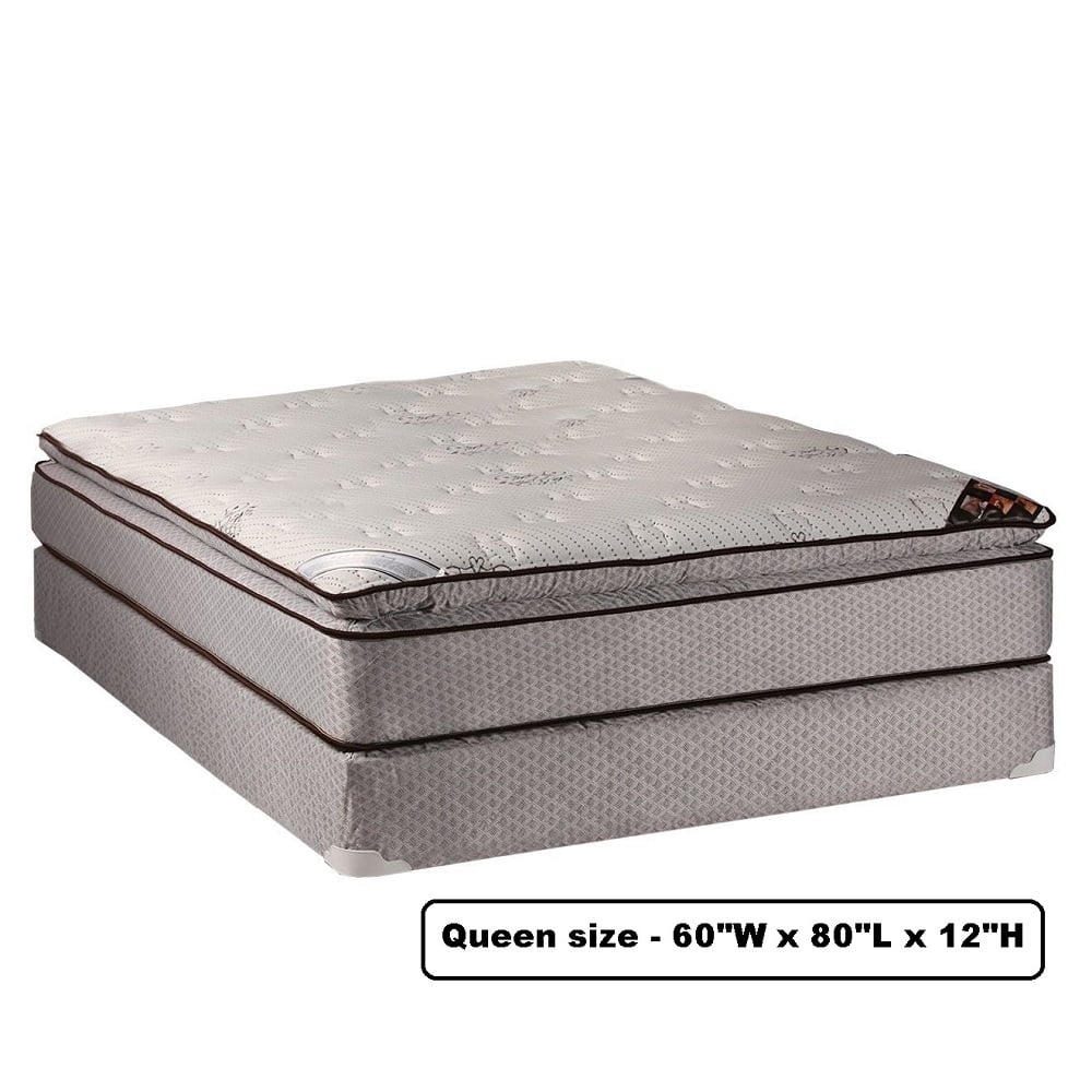 DS USA Spinal Plush Queen Size Mattress Set with Metal Bed Frame Included - Sleep System with Enhanced Cushion Support, Good for your back, Orthopedic by Dream Solutions USA