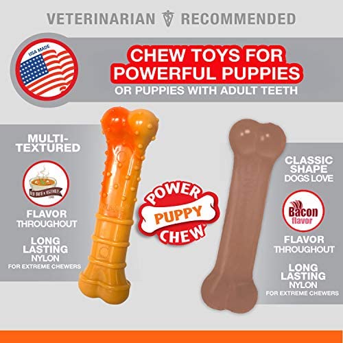 Nylabone Puppy Power Chew Toy - Tough and Durable Puppy Chew Toy for Teething - Puppy Supplies - Bacon & Beef Broth Flavor, Small (2 Count)
