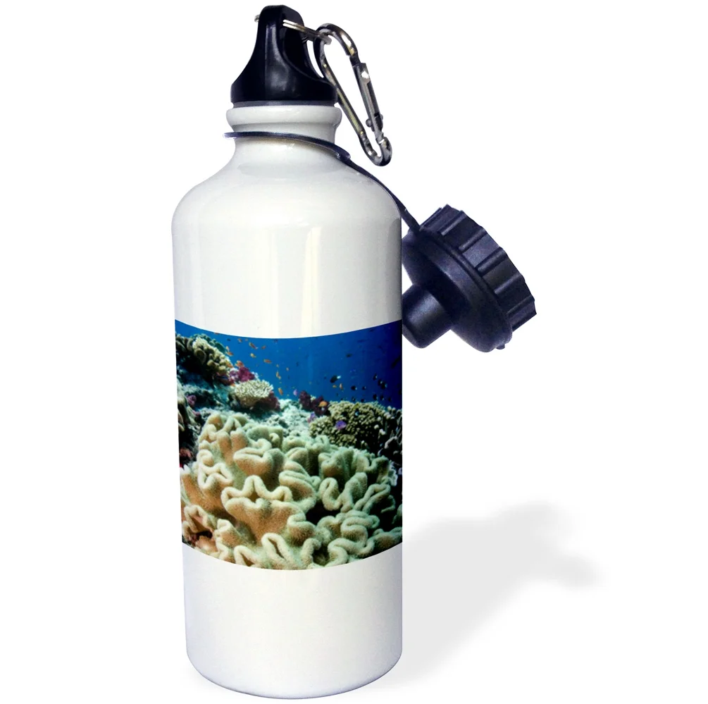 3dRose Leather Coral, Alcyonacea, Fiji. Coral reef - Straw Water Bottle, 21-ounce