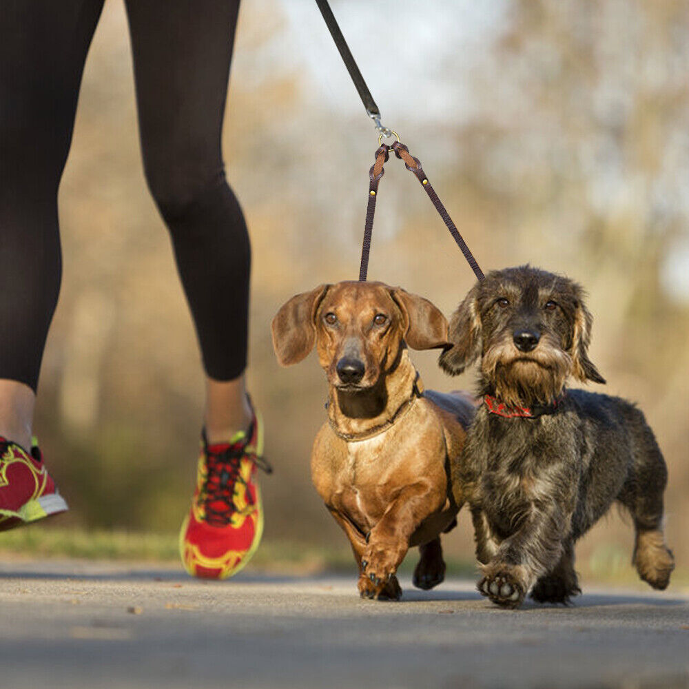 2 Way Braided Leather Dog Leash Double Coupler Splitter Walking Lead Twin Dogs