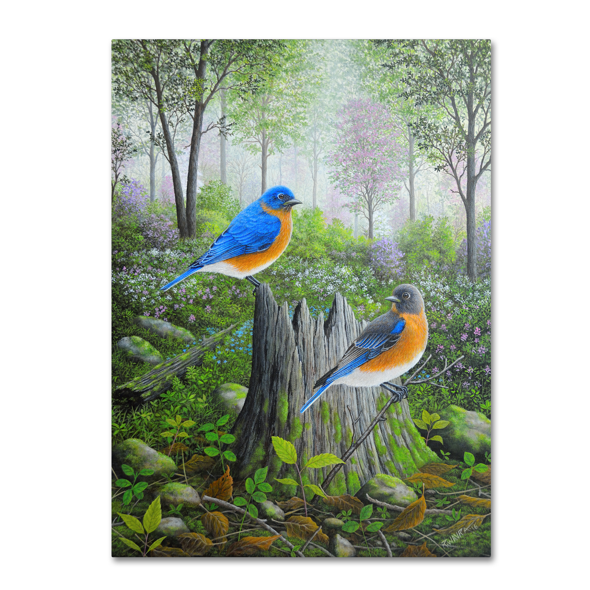 Trademark Fine Art 'Spring Bluebirds' Canvas Art by Robert Wavra
