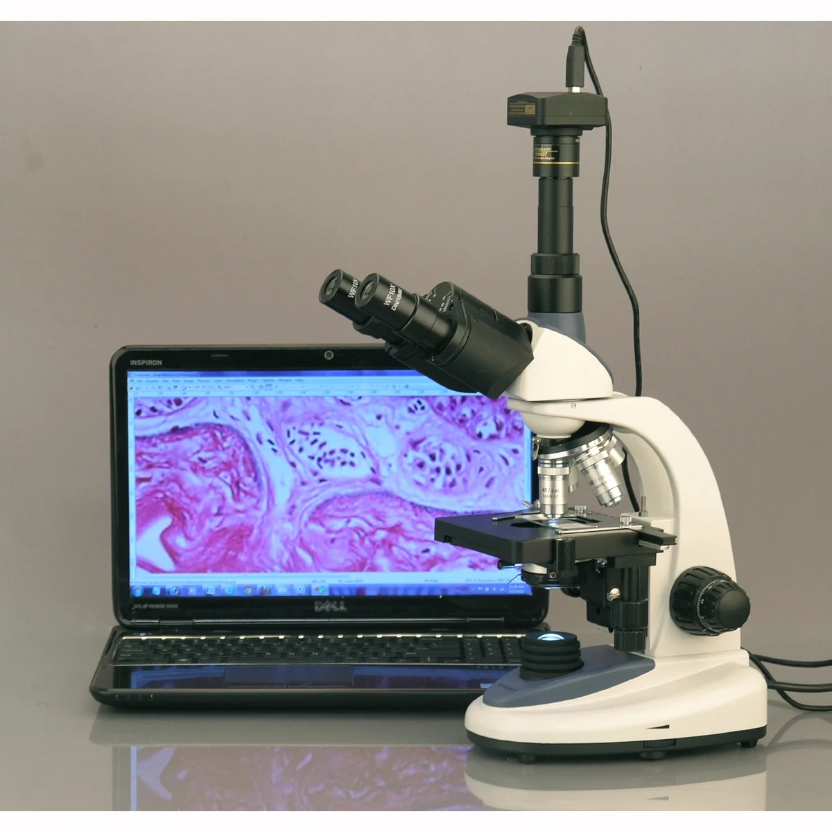 AmScope 40X-2000X 1W LED Trinocular Compound Microscope New