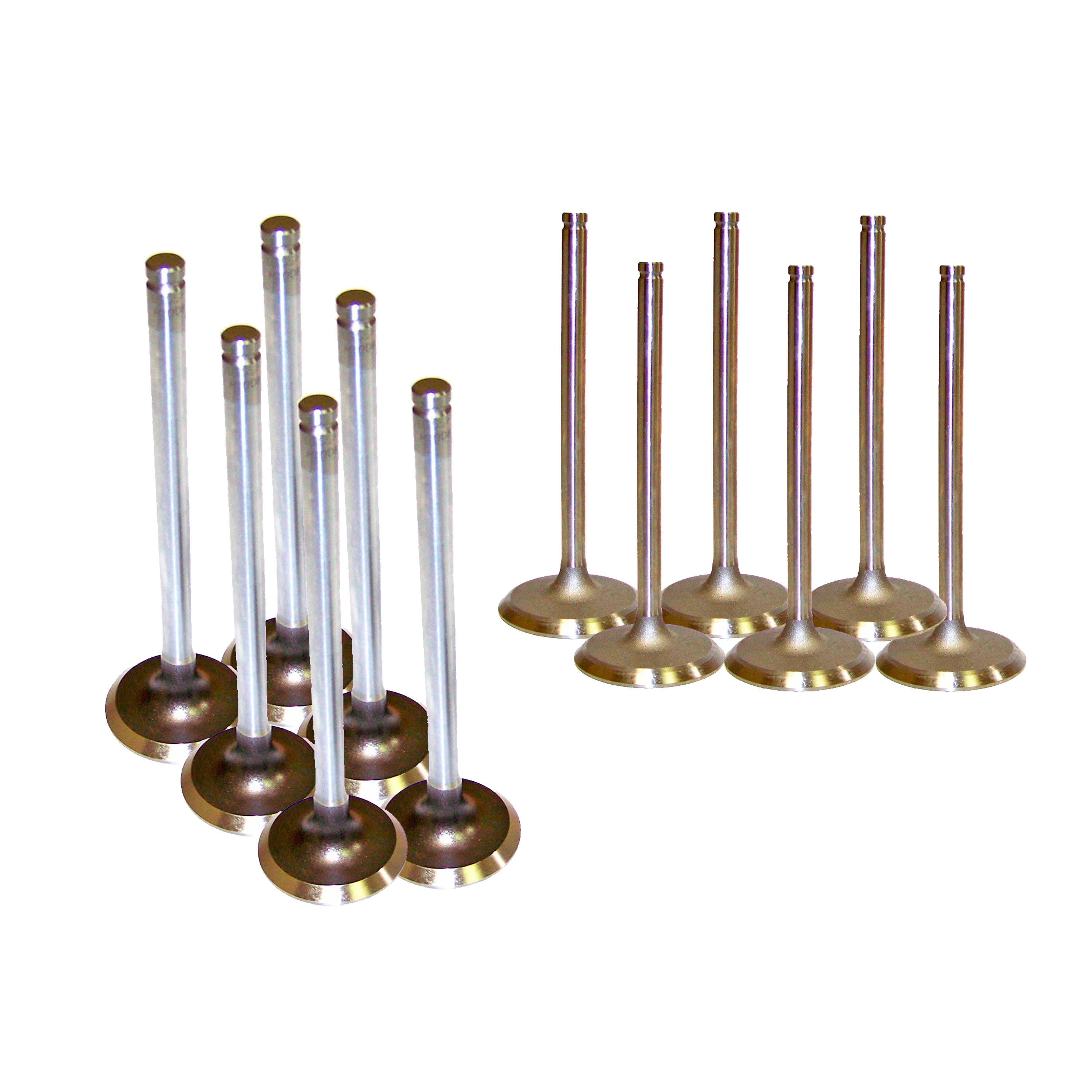 DNJ VK121119 Exhaust Intake Valve Kit Fits Cars & Trucks 87-98 Jeep 4.0L OHV 12V Fits select: 1987-1998 JEEP CHEROKEE, 1997-1998 JEEP WRANGLER / TJ