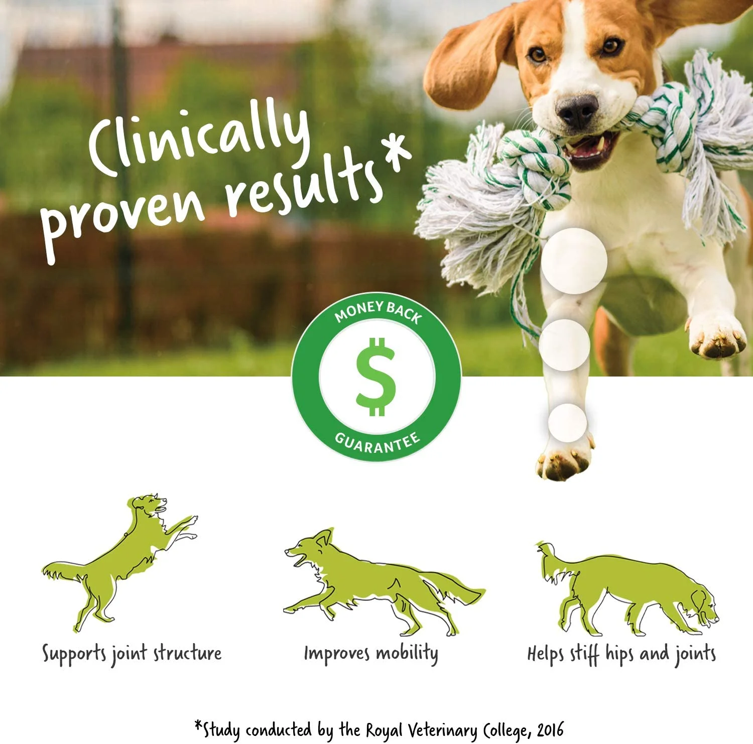 Lintbells YuMOVE Joint Supplement Dog Chews - Contains Glucosamine, Green Lipped Mussel - Natural Relief from Hip Ache, Stiff Joints - 1 Month’s Supply