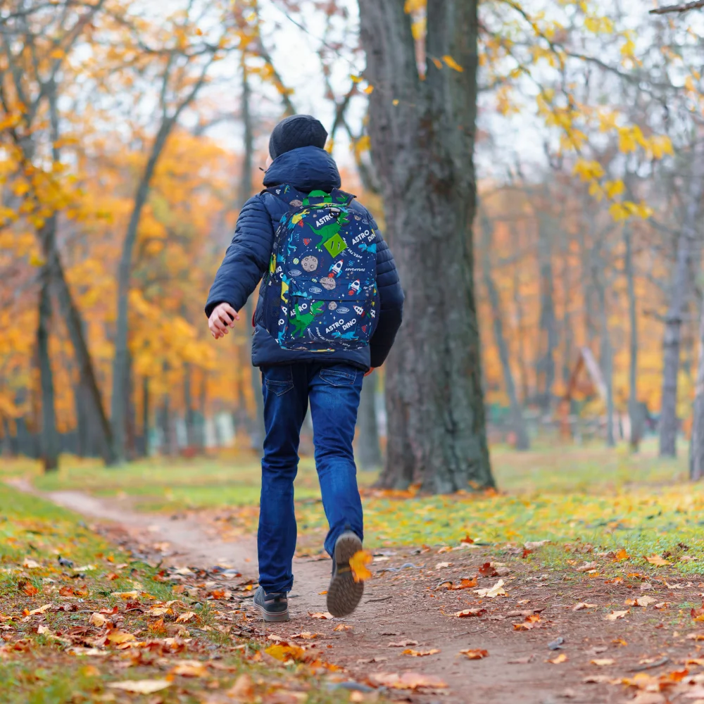 Ralme Boys Dinosaur Backpack with Lunch Box 2 Piece Set 16 inch