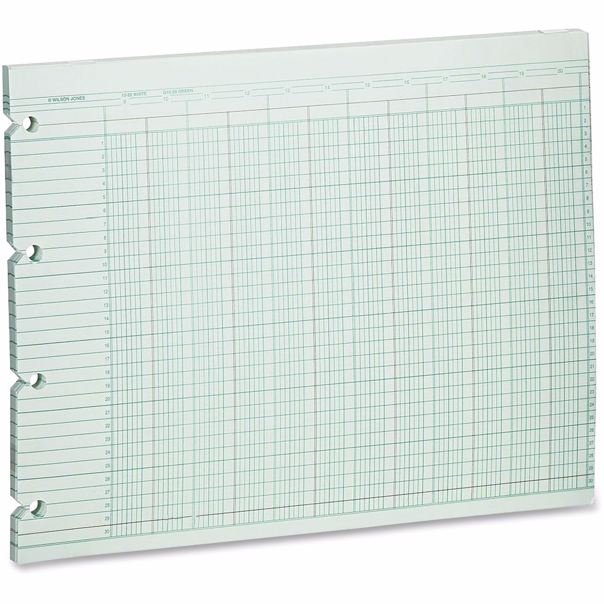 Wilson Jones, WLJG1020, 20-Column Ruled Sheets, 100 / Pack