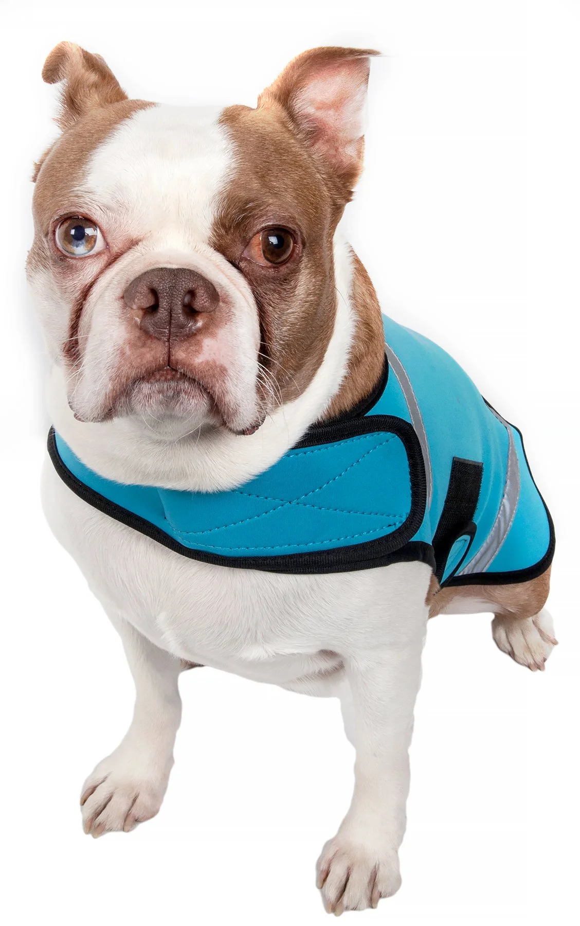 Pet Life ® 'Extreme Neoprene' Multi-Purpose Protective and Reflective Rash Guard Dog Coat
