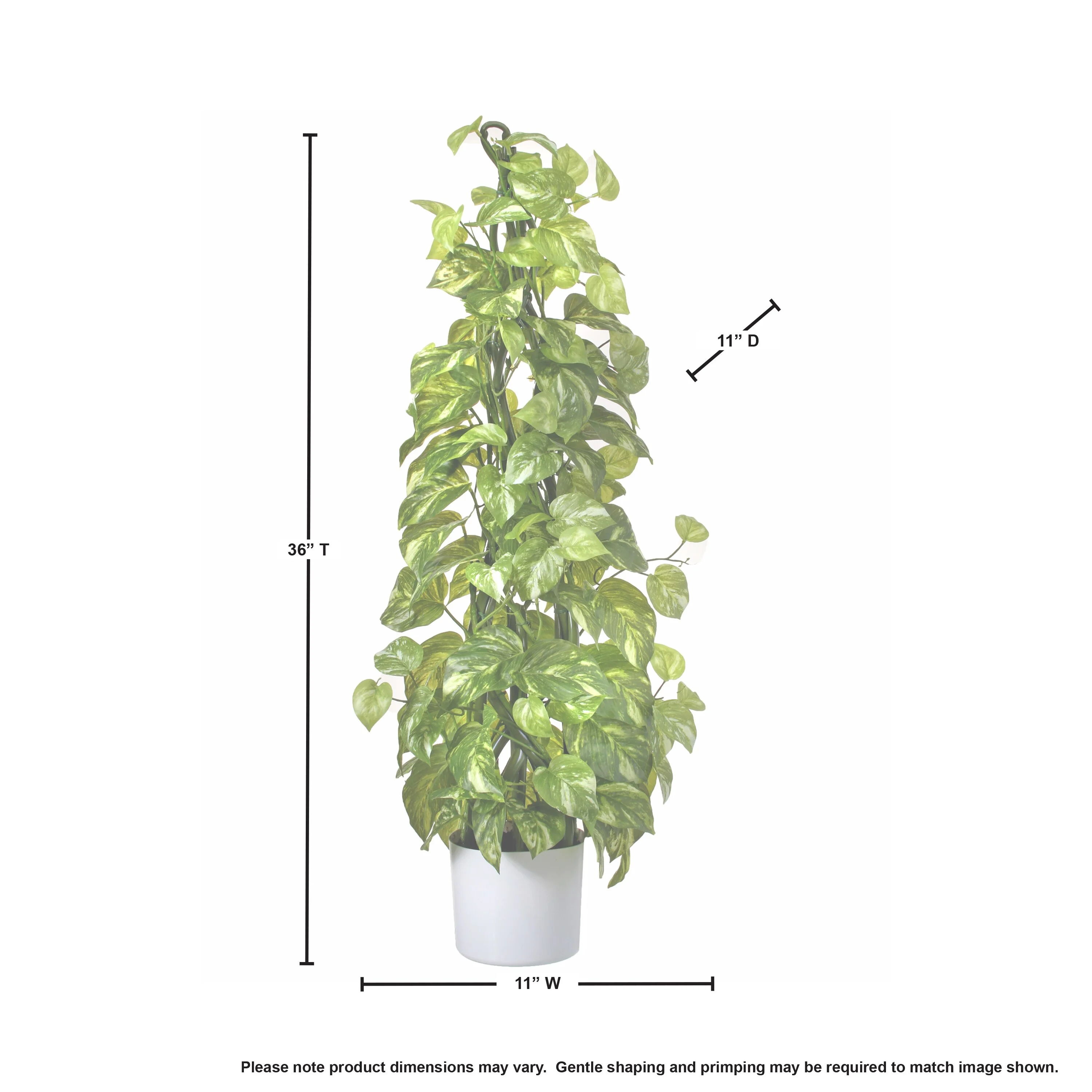 Potted Climbing Pothos 3', Natural Touch