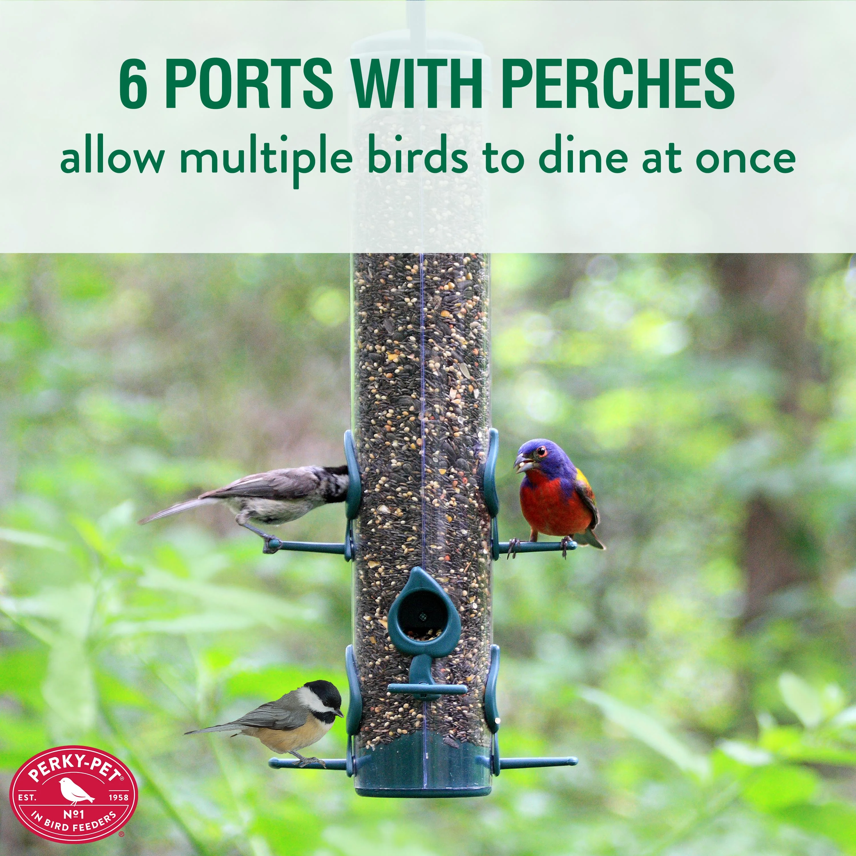 Perky-Pet Green Classic Wild Bird Tube Feeder - 1.75 lb Capacity