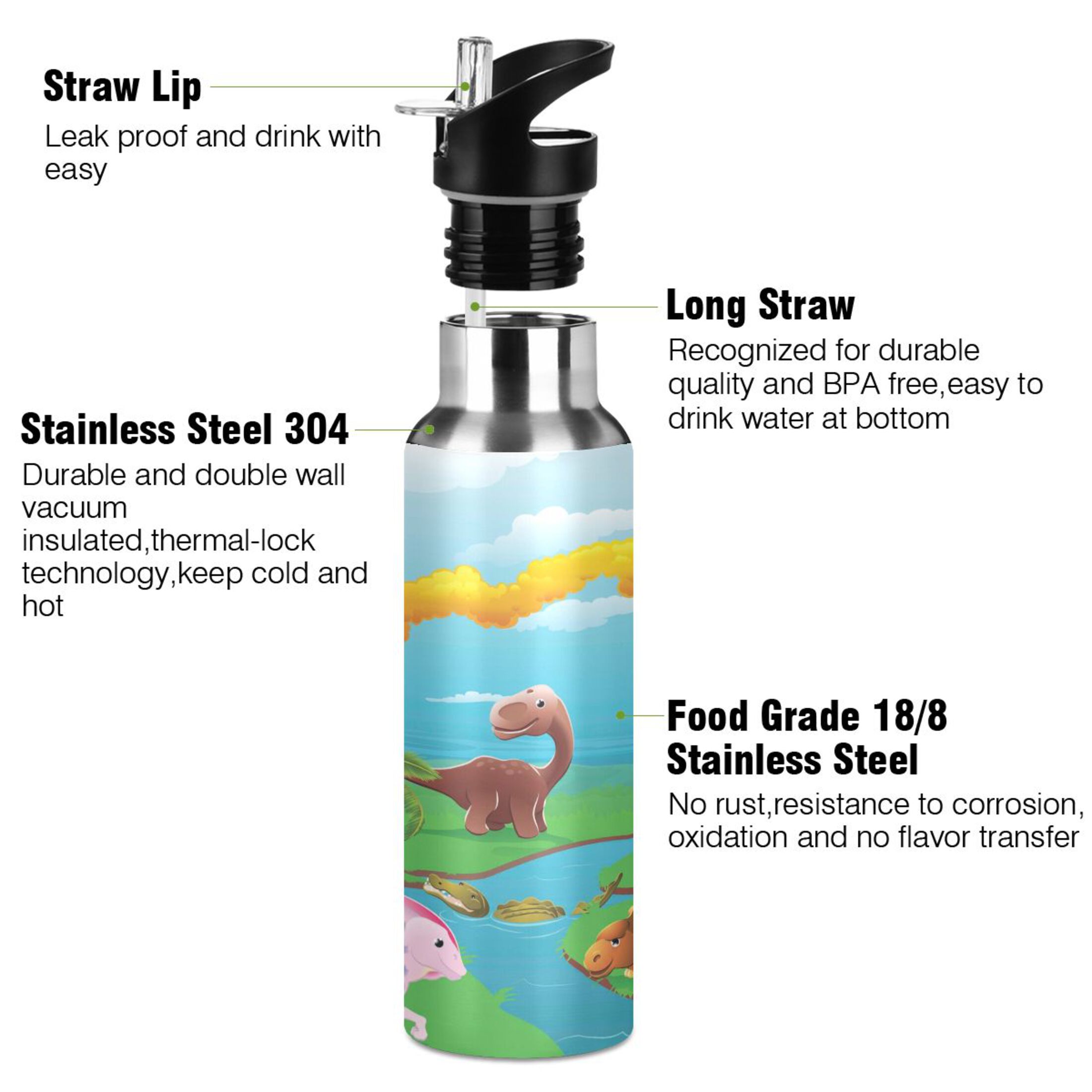 Stainless Steel Water Bottle Cartoon Dinosaurs with Straw Lid Vacuum Insulated Keeps Hot and Cold Leak Proof Flask Jug for Gym Travel Sports Cycling Outdoor 20 OZ