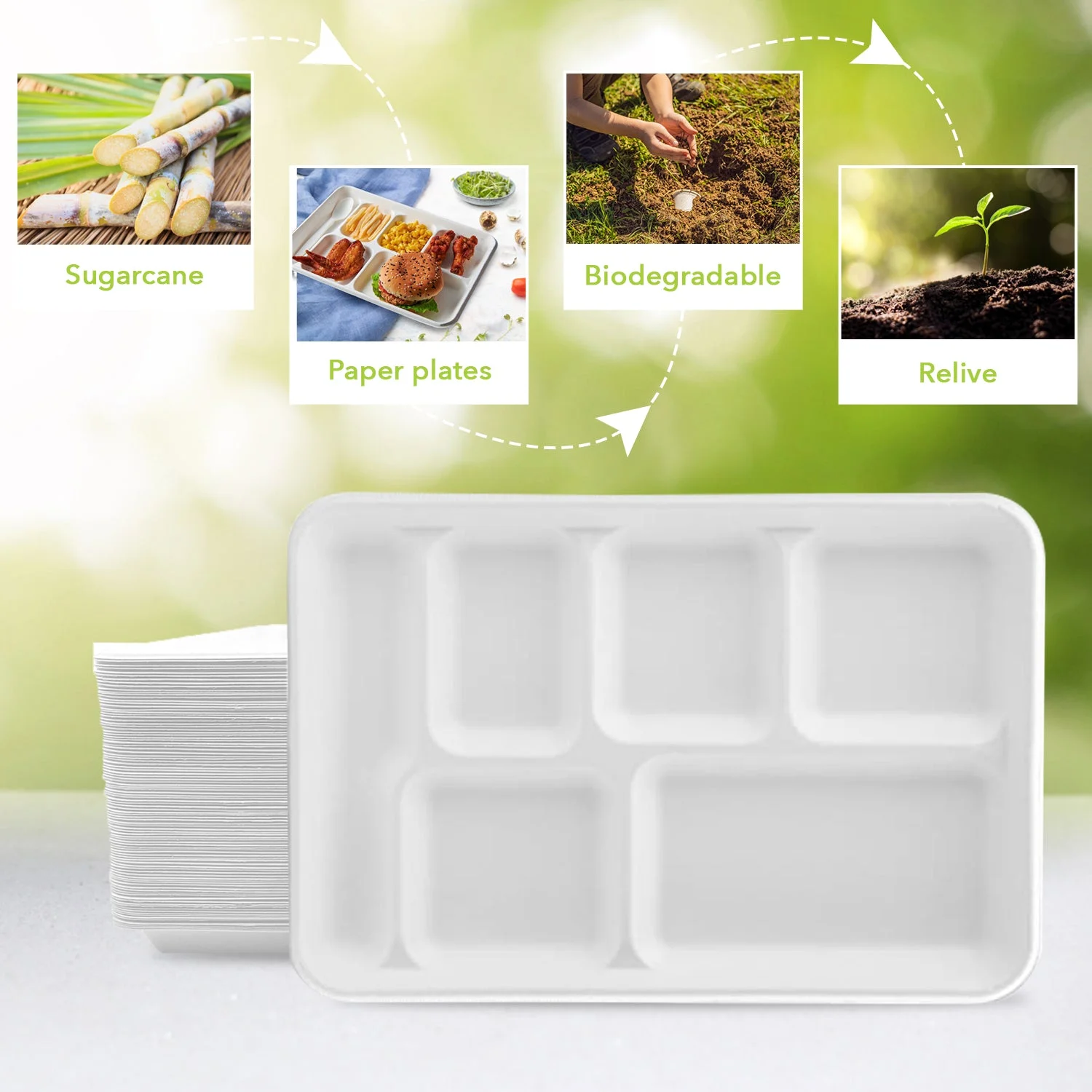 Three Leaf 6 Compartment Bagasse Tray 50 CT. Heavy-Duty Super Strong White Eco-Friendly Disposable