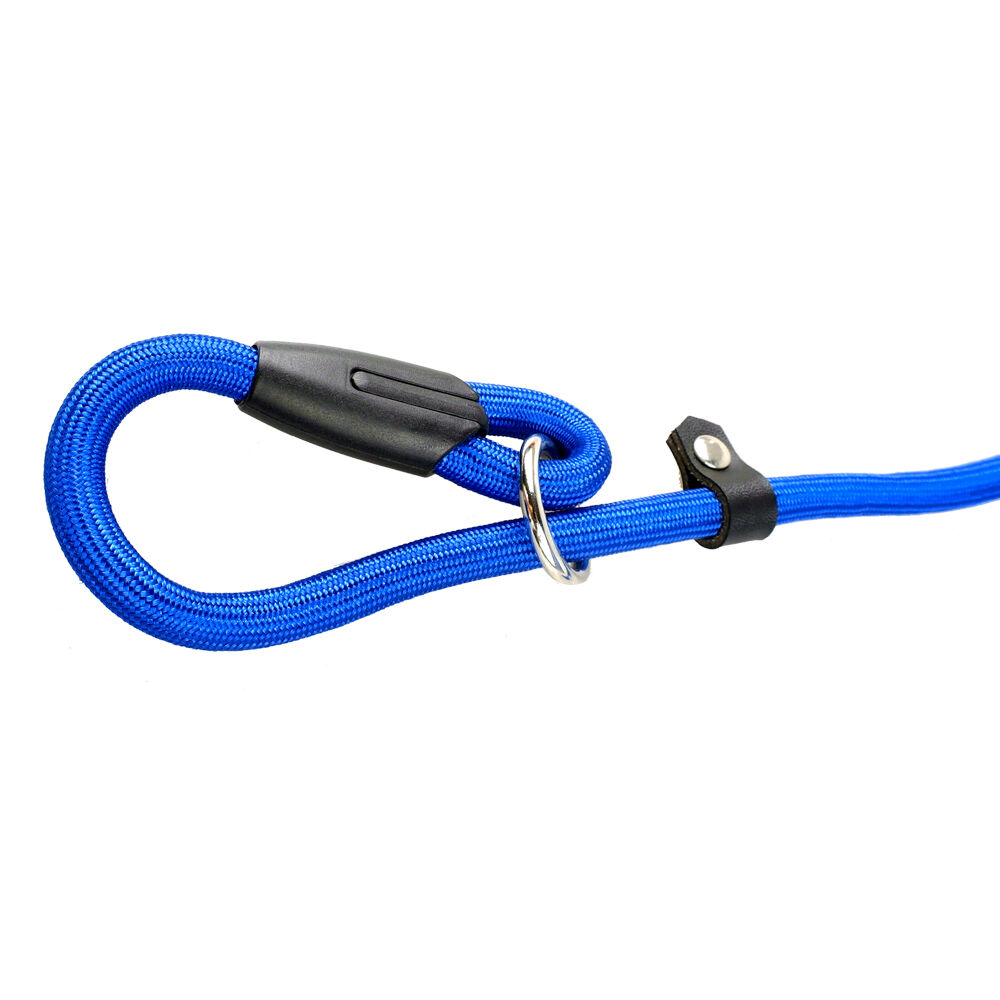 5ft Slip Lead Dog Leash Nylon Rolled Rope Pet Collar Obedience Recall Training