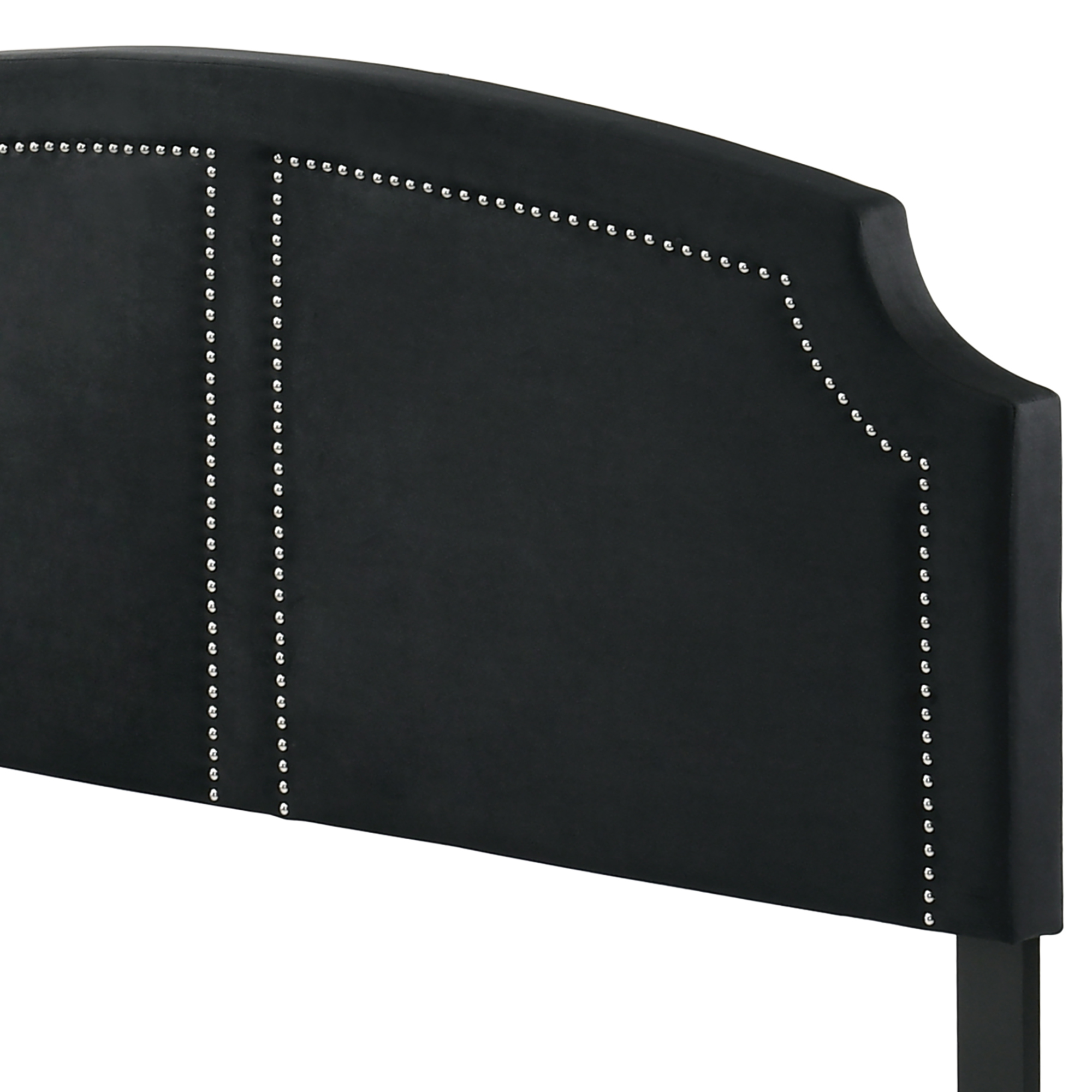 ACME Zeena Queen Bed in Black Velvet