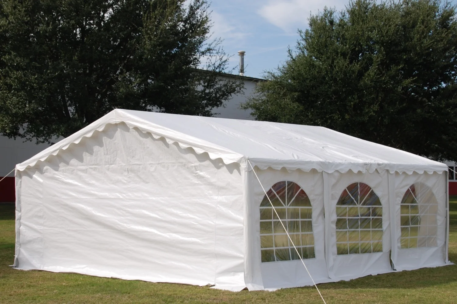 Delta Canopy 20'x20' Budget PE Party Tent Canopy Shelter with Waterproof Top - B Model
