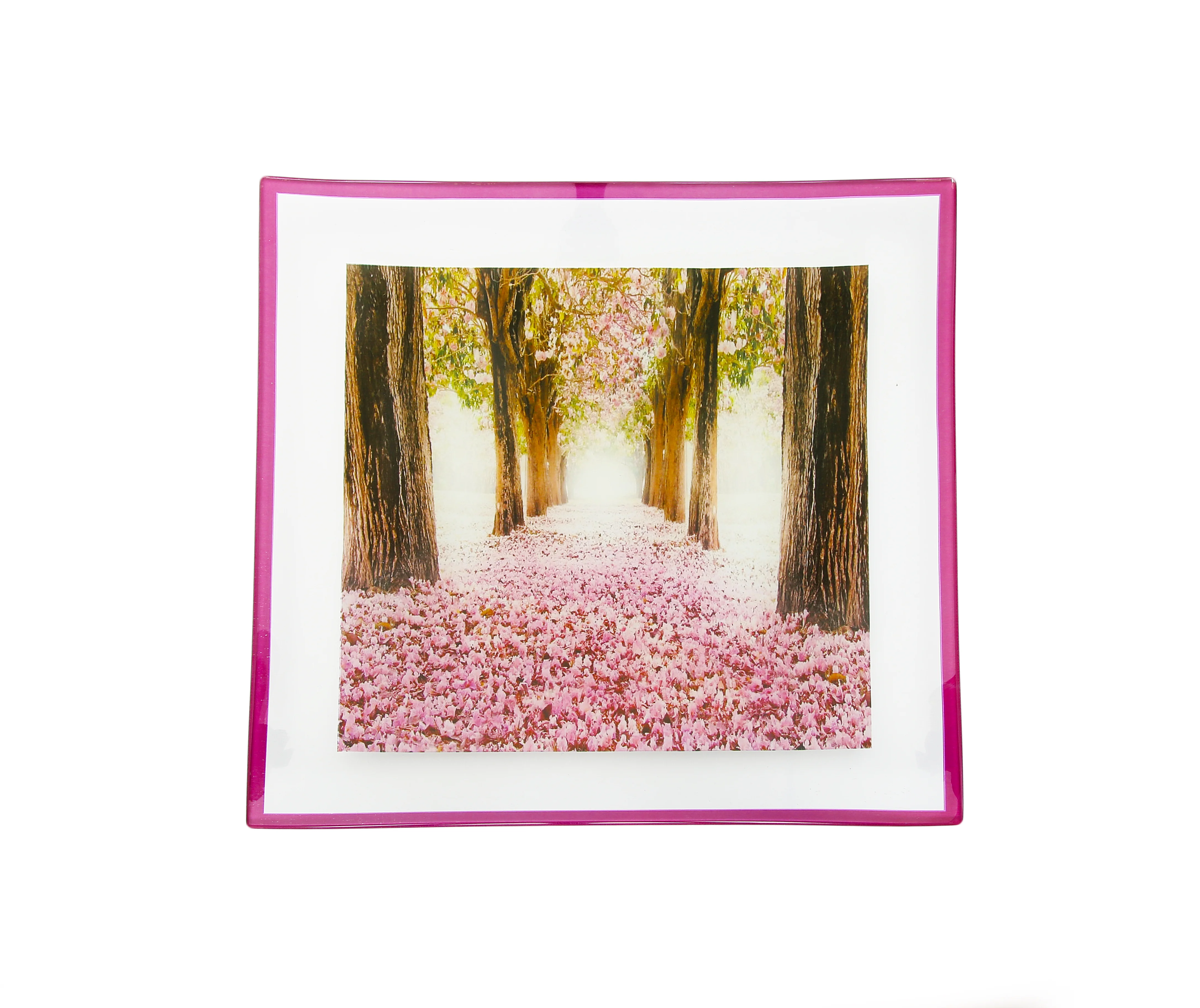 GAC Unique Landscape Design Square Tempered Glass Serving Plates – 10.5 Inch – Set of 2 – Break and Chip Resistant – Attractive Pink Colored Dinner Plate Set