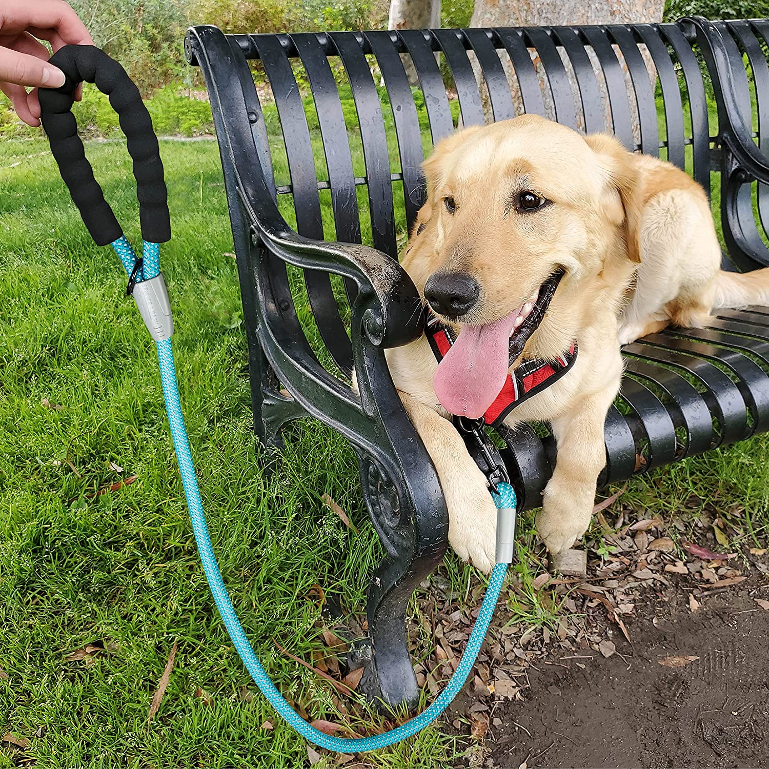 Dog leash, high reflective heavy duty leash, nylon dog training leash, padded handle pet leash, medium and small dog walking leash