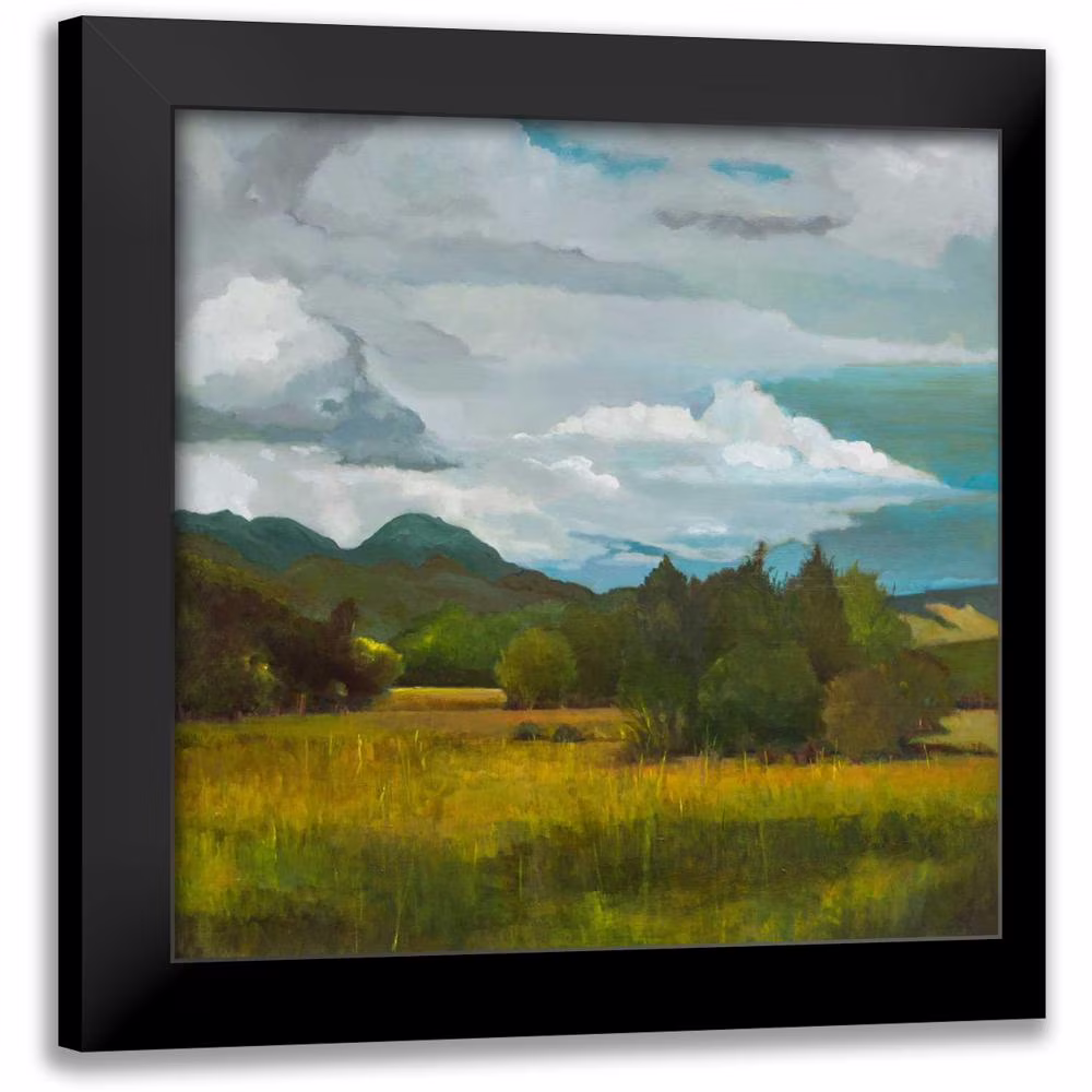 DAgostino, Judith 12x12 Black Modern Framed Museum Art Print Titled - Behind Luan Lodge