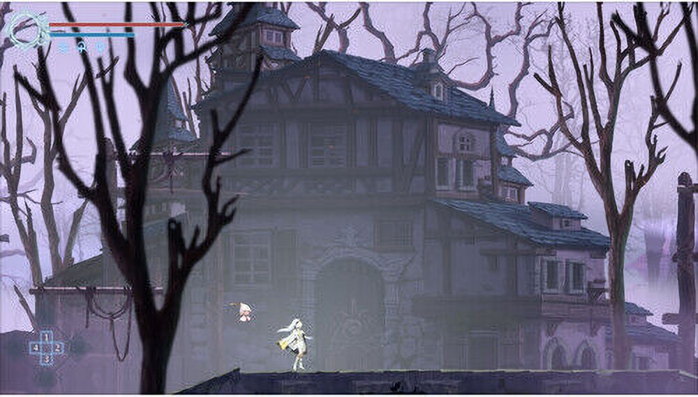 Afterimage: Deluxe Edition for Nintendo Switch [New Video Game]