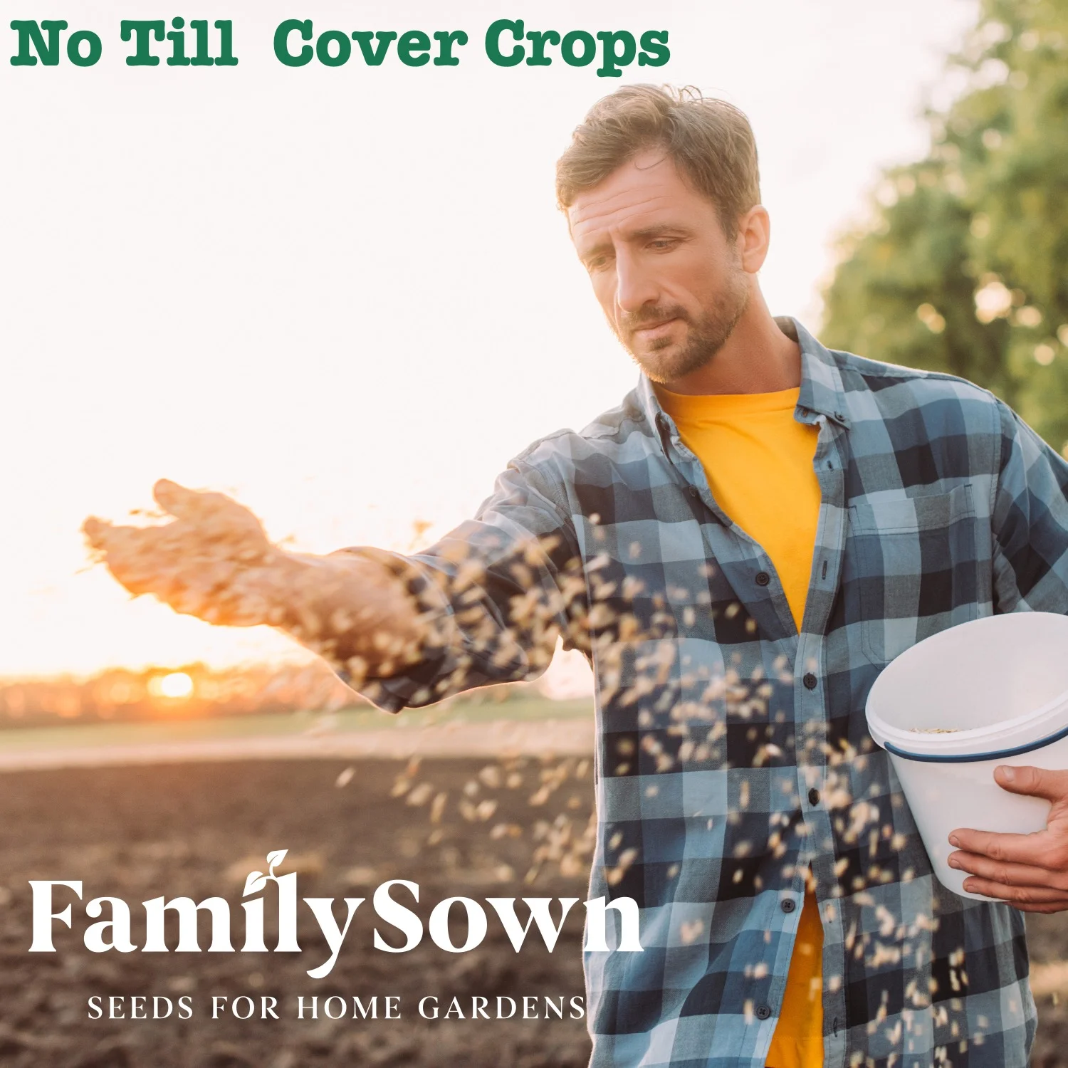 Cover Crops by Family Sown - 10 Variety Mix of Cover Crop Seeds Ideal for Home Gardens | Non-GMO, Open Pollinated, Made in the USA (5 LB)