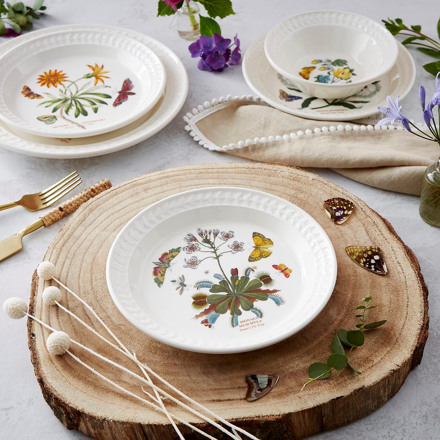 DIQIN Botanic Garden Harmony Papilio Salad Plates Set of 4, Round, Salad, Dessert, or Dinner Plate, Ceramic, Dishwasher & Microwave Safe, 8.5 Inch, Assorted Motif, Made in England
