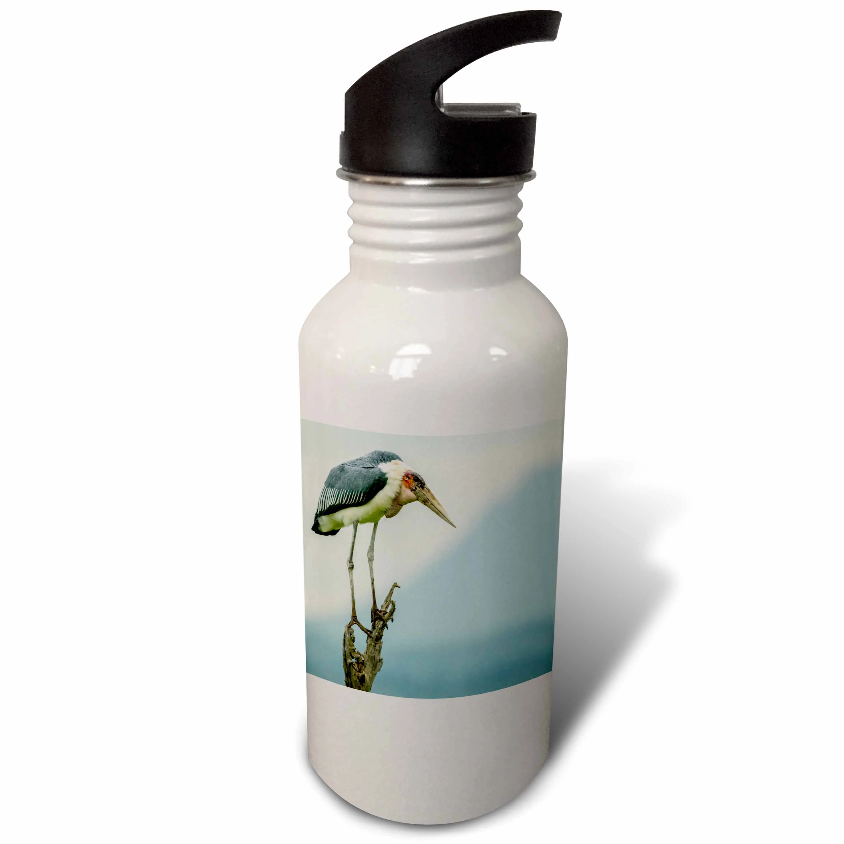 Tanzania, Tarangire National Park. Marabou stork on tree stump. Flip Straw 21oz Water Bottle wb-343177-2