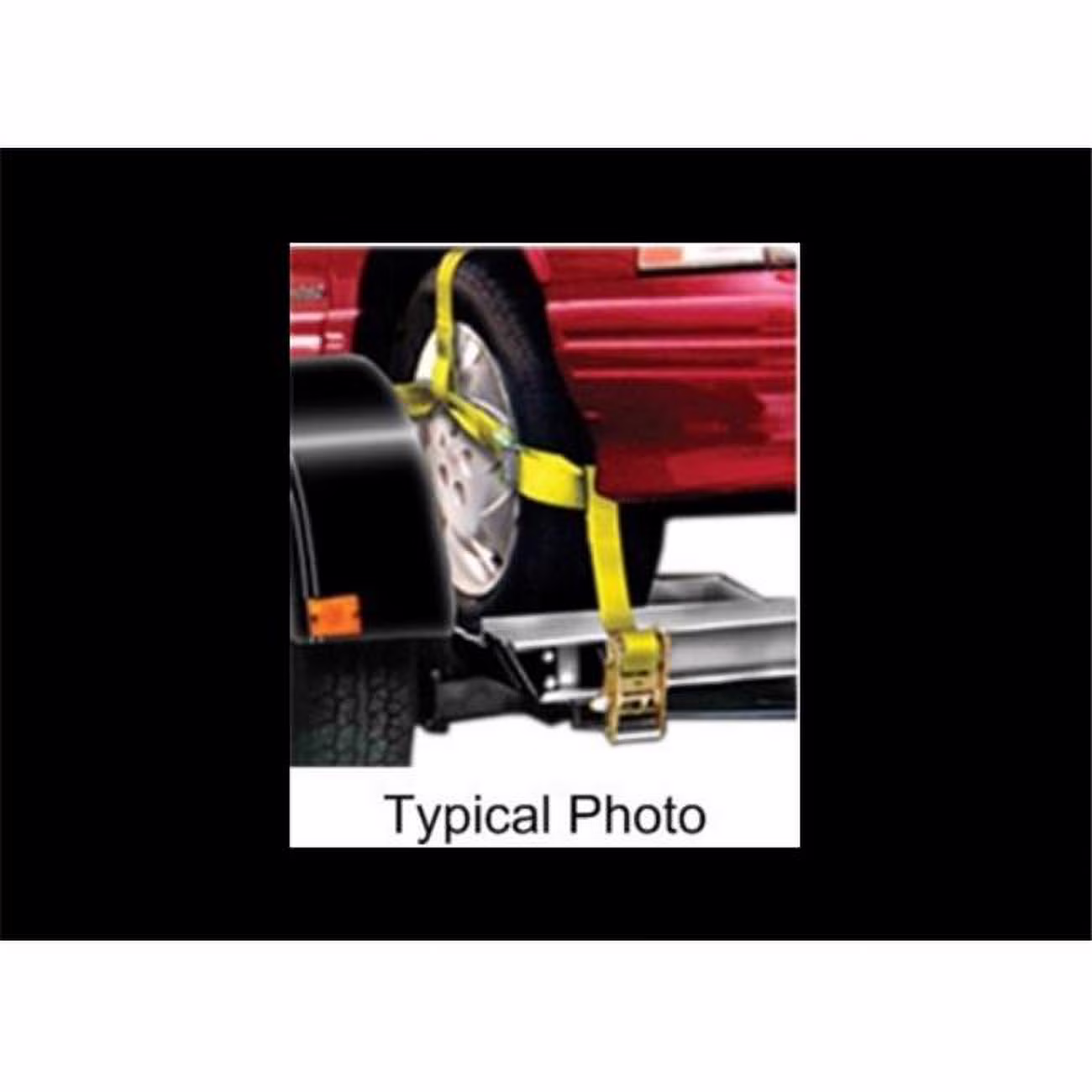 Roadmaster  Adjustable Tie Down Strap for Tow Dollie - 12-16 in.