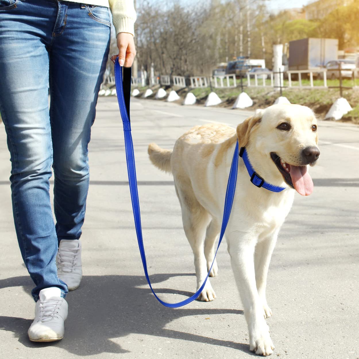 Dog Collars and 5FT Double-Sided Reflective Dogs Leash Set, Nylon Material for Walking and Traning Suit for Medium & Large Dogs, Royal Blue
