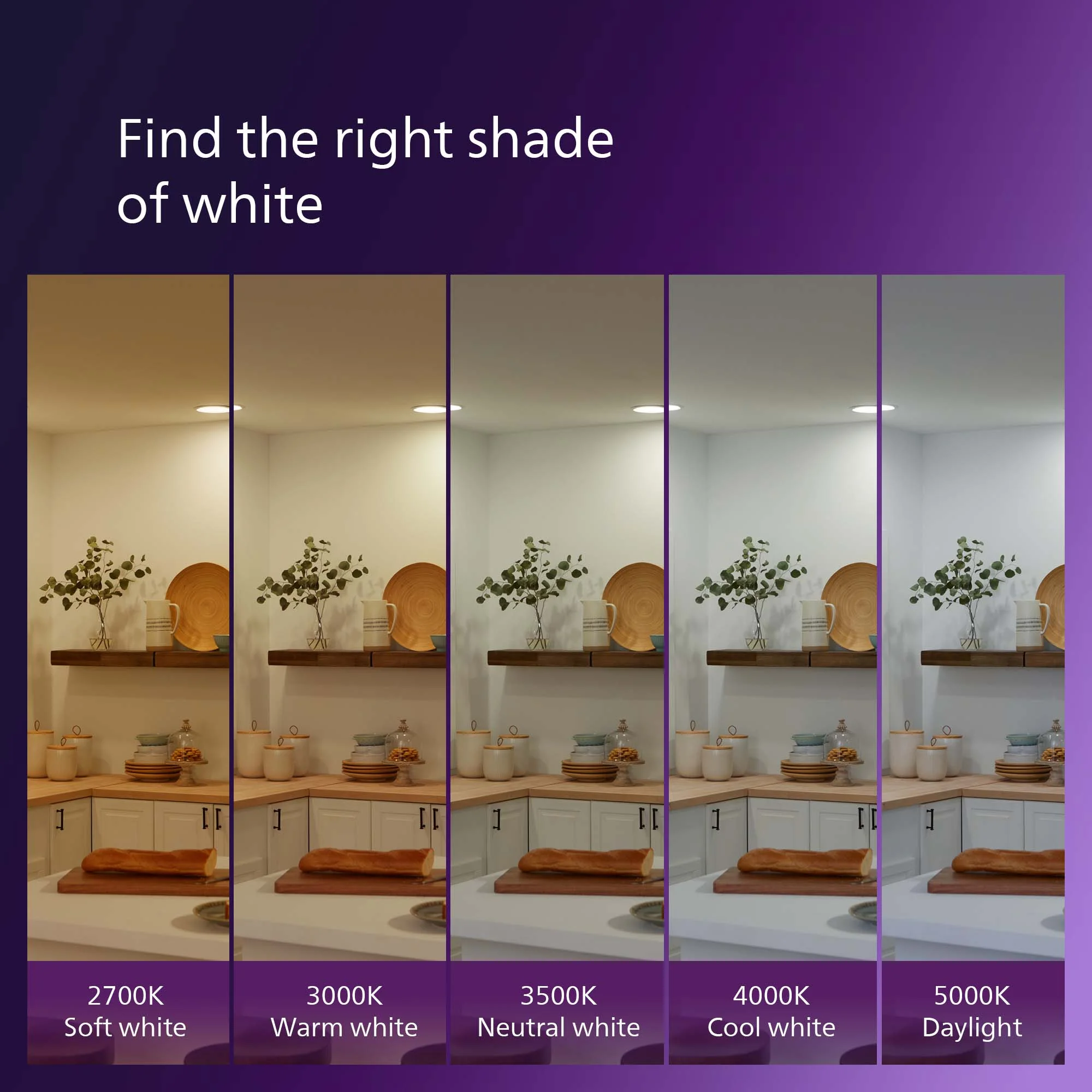 Philips Ultra Definition LED 100-Watt A21 Light Bulb, Frosted Daylight, Dimmable, E26 Medium Base (2-Pack)