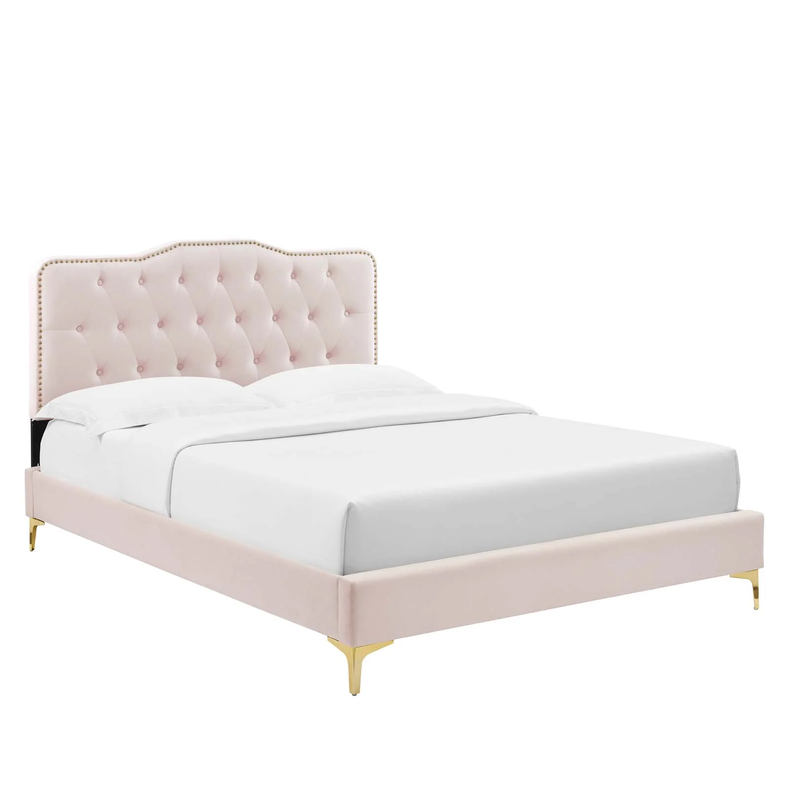 Modway Amber Performance Velvet Queen Platform Bed in Pink