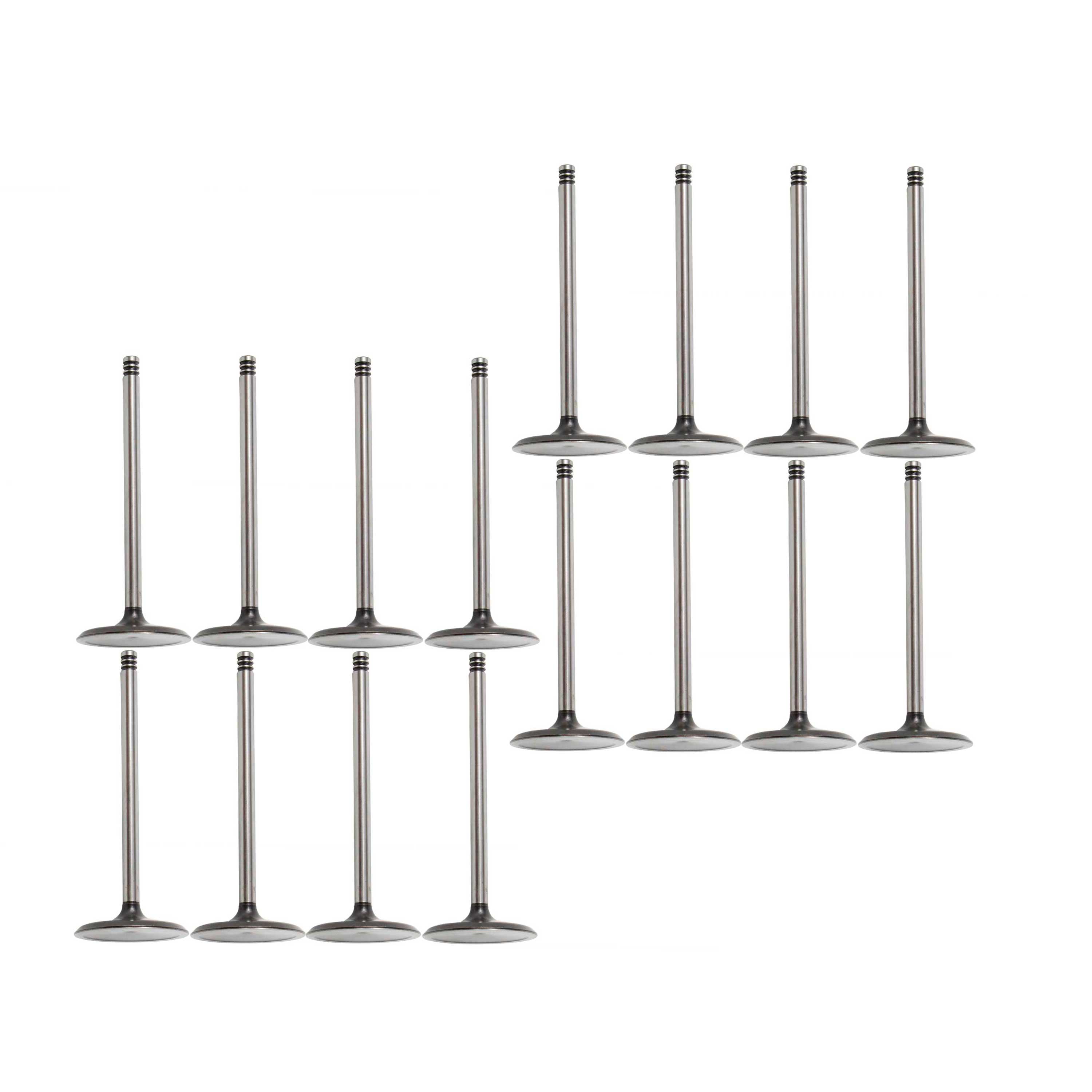 DNJ VK164224 Exhaust Intake Valve Kit Fits Cars & Trucks 10-20 6.2L SOHC 16V Fits select: 2011-2020 FORD F250, 2011-2020 FORD F350