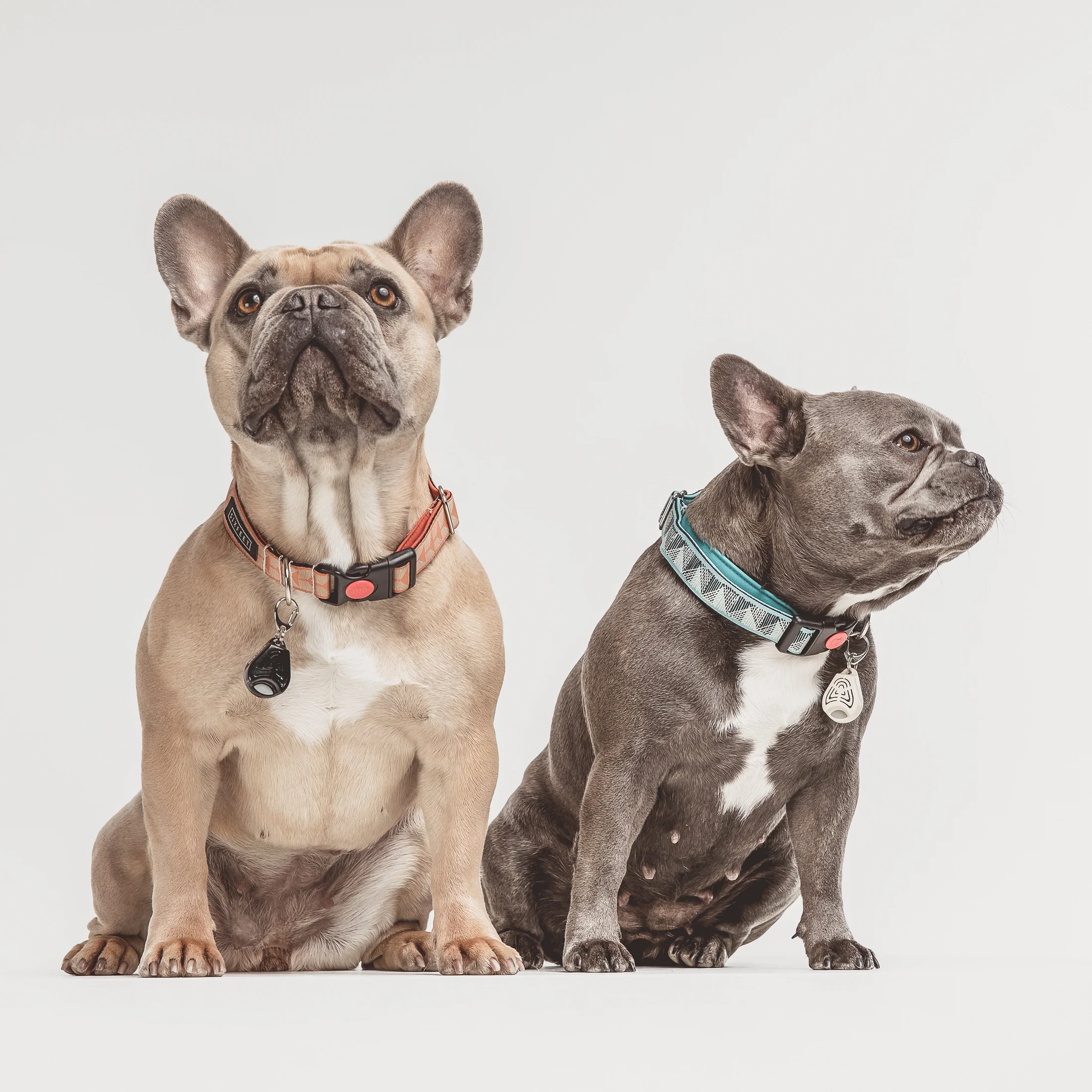 Tickless Pet - Chemical Free, Ultrasonic, Natural Flea & Tick Repellent for All Dog Sizes- Pink