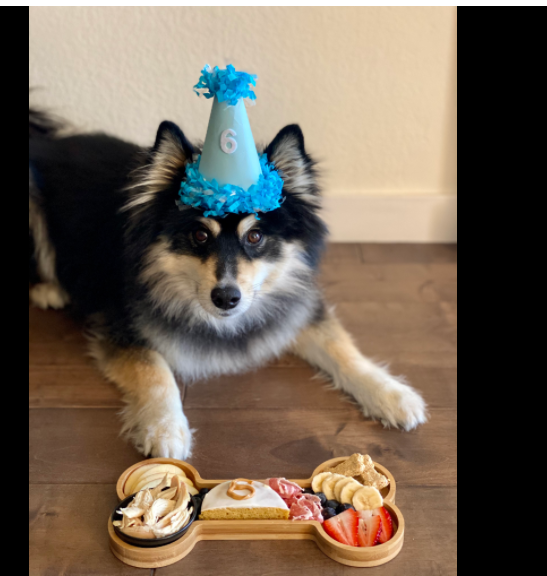 Dog Birthday Party Supplies Bone Shaped Serving Tray Platters Wooden Cutting Board Candy Dish Bowl 12''