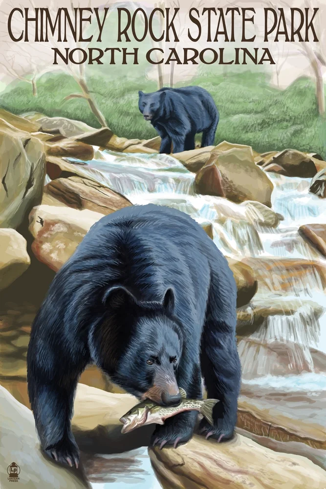 Chimney Rock State Park, NC, Bear Fishing in Stream (16x24 Giclee Gallery Art Print, Vivid Textured Wall Decor)