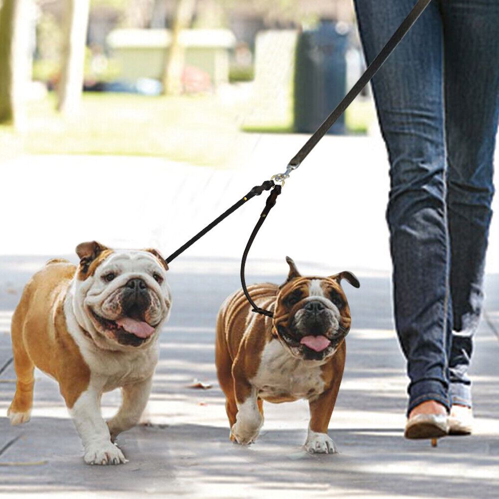 2 Way Braided Leather Dog Leash Double Coupler Splitter Walking Lead Twin Dogs