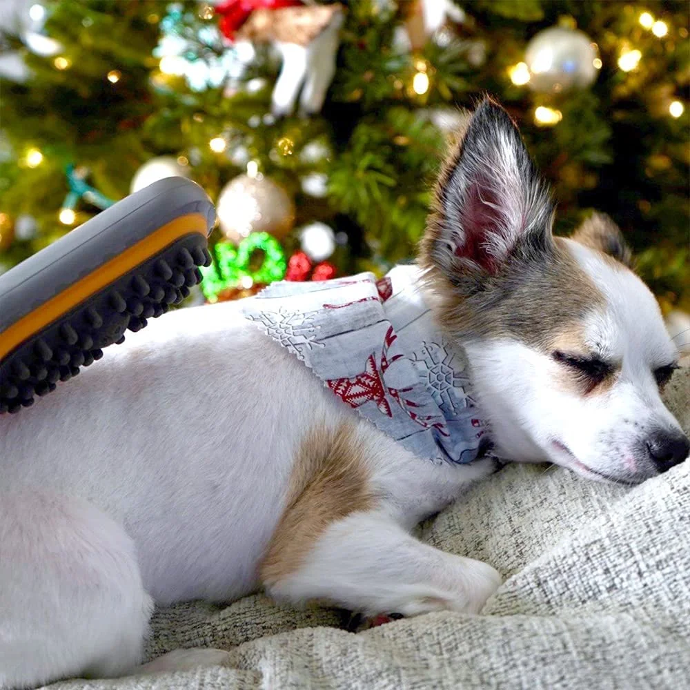 PAW WAVE Buzz Therapeutic Brush Vibration Pet Massager for Dogs and Cats Designed to Help Soothe Tension, Increase Circulation and Relieve Tight Muscles