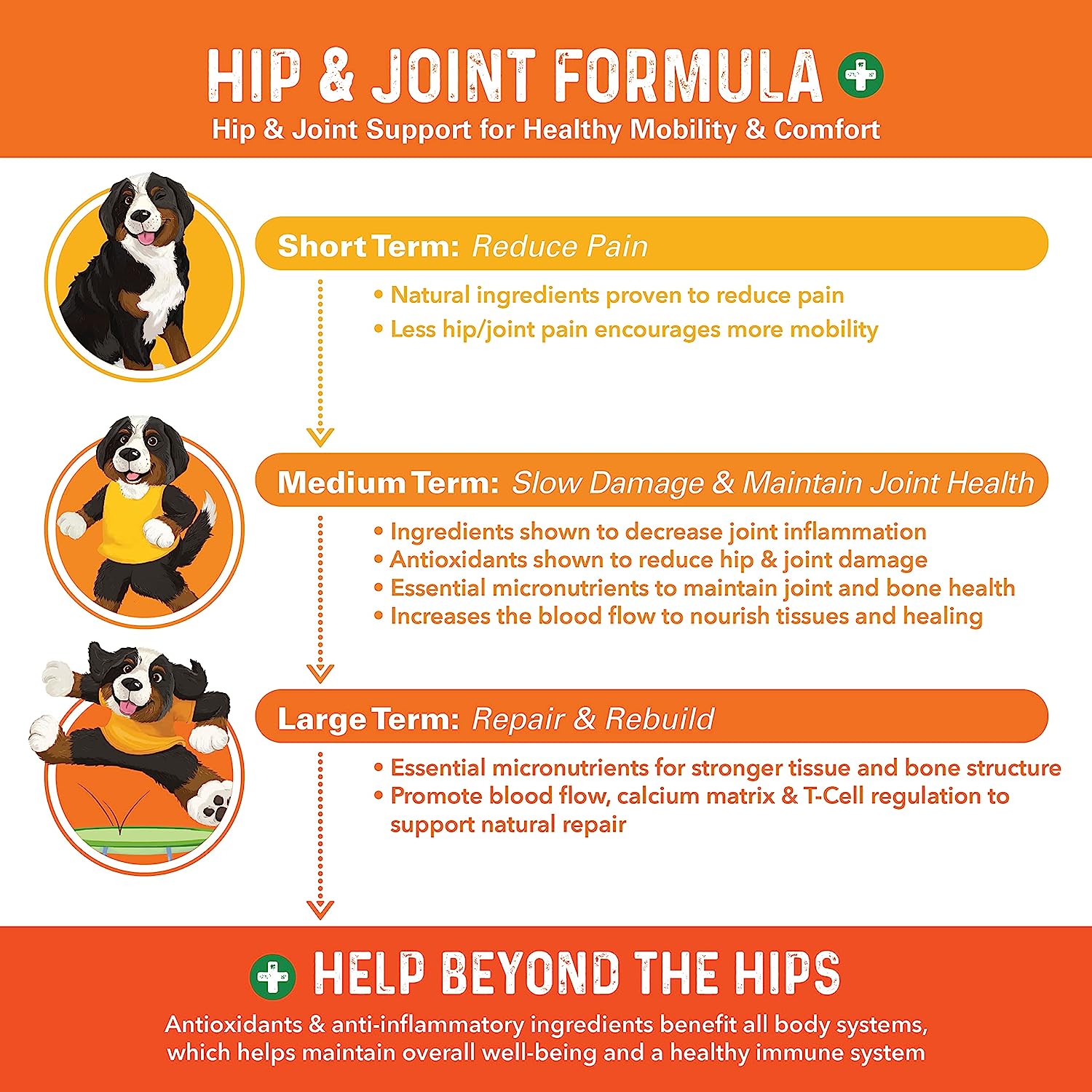 Bernie's Healthy Hips - Daily Dog Hip and Joint Supplement - 90 Soft Chews - Reduce Pain, Encourage Mobility, Slow Damage, Repair and Rebuild Hips and Joint Tissues