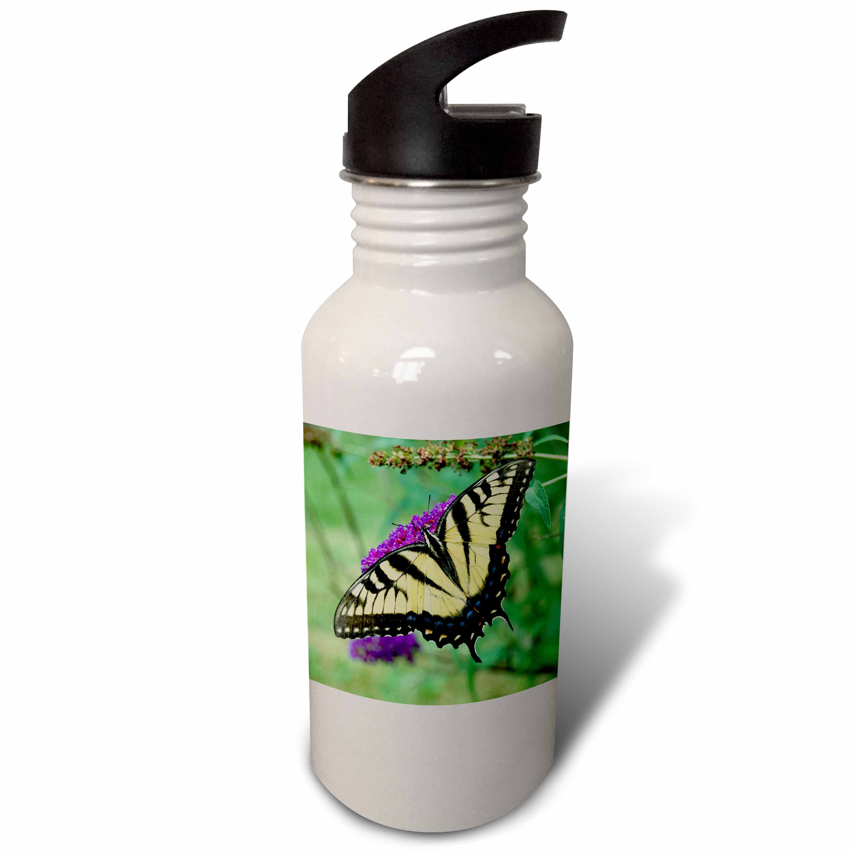 Pretty Swallowtail Butterfly on a Purple Butterfly Bush Photograph 21 oz Sports Water Bottle wb-113932-1
