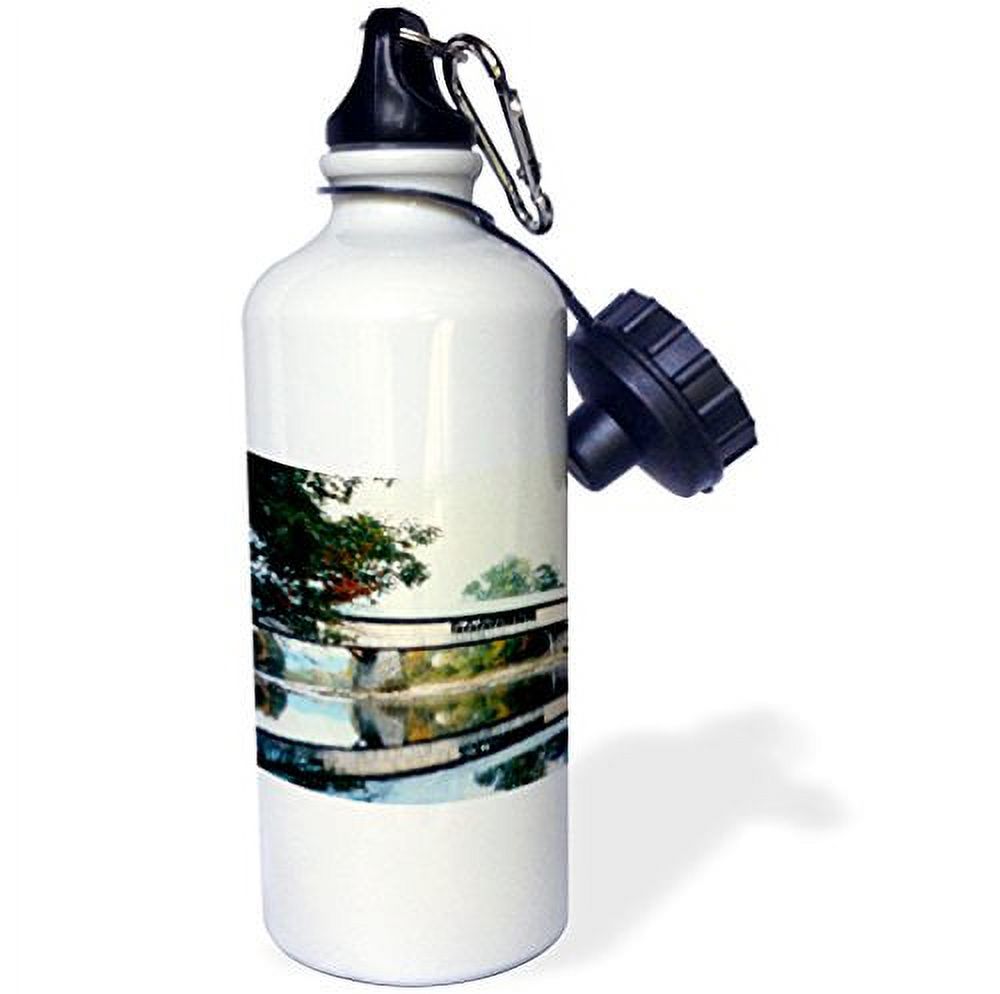 3dRose T Rex Dinosaur, Sports Water Bottle, 21oz