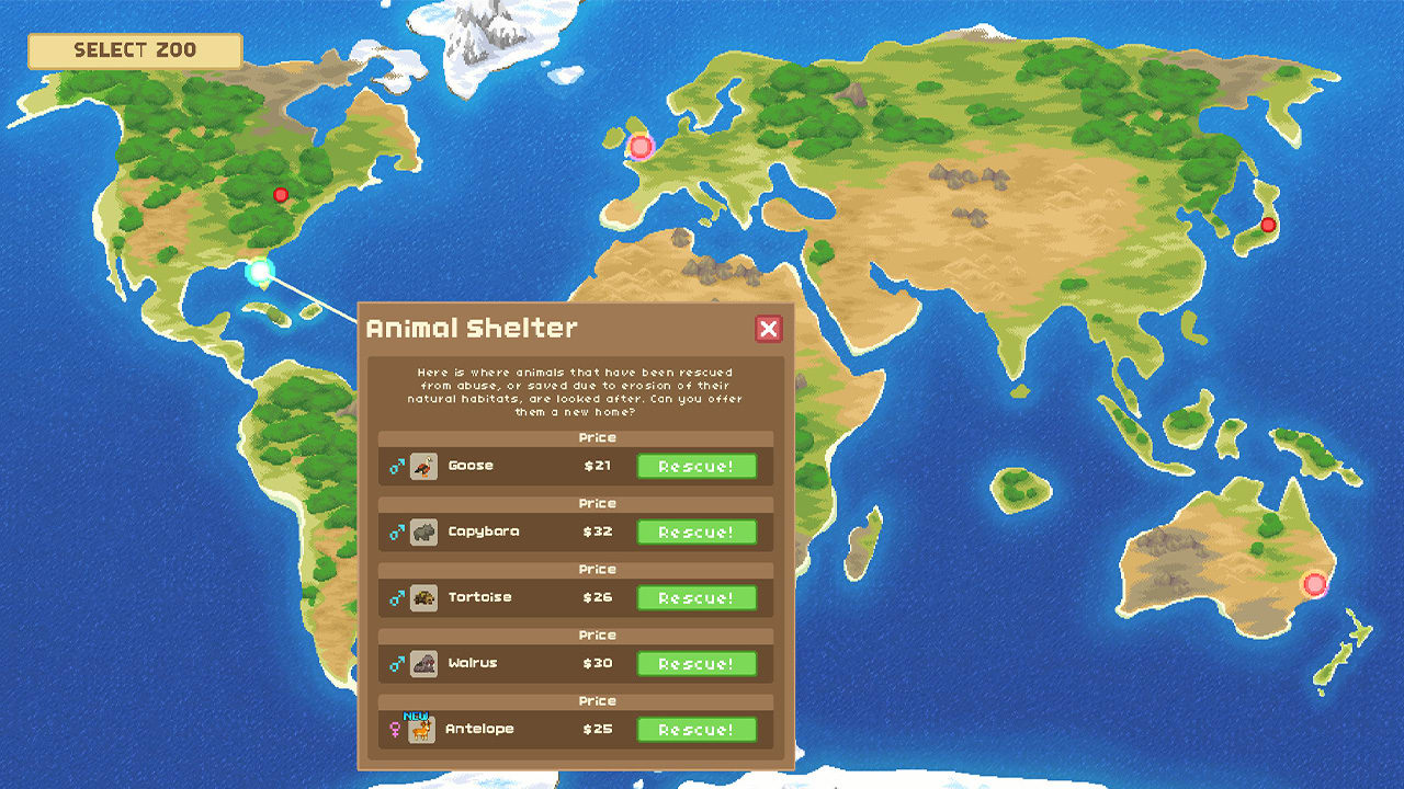 Let's Build a Zoo, Nintendo Switch, Merge Games, 819335021358