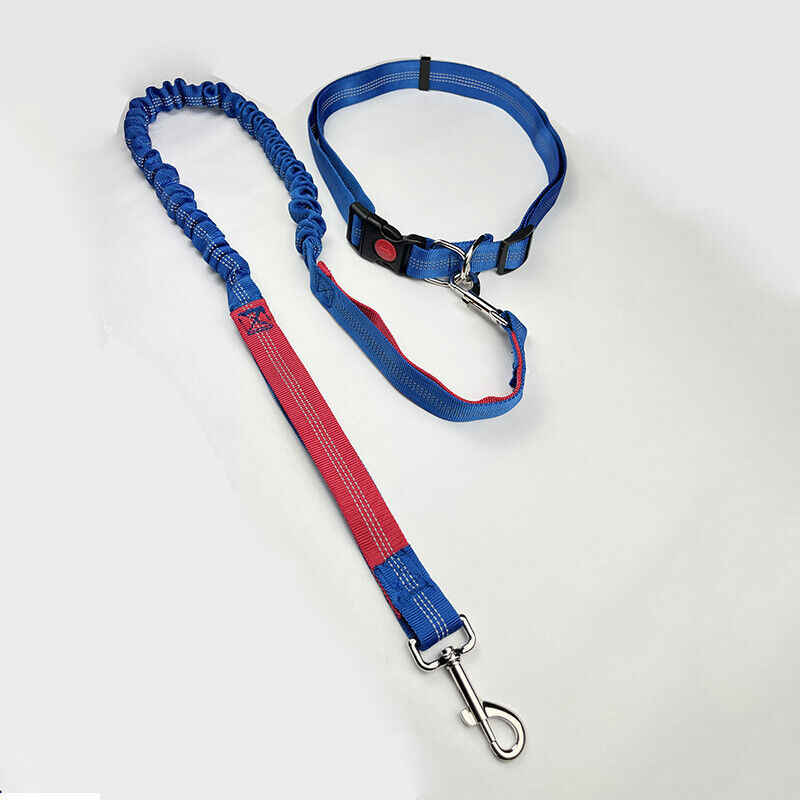 High Qulity Retractable Hands Free Dog Leash for Running Dual Handle Bungee
