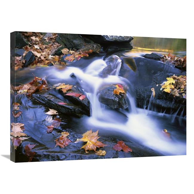 24 x 32 in. Autumn Leaves in Little River, Great Smoky Mountains NP, Tennessee Art Print - Tim Fitzharris
