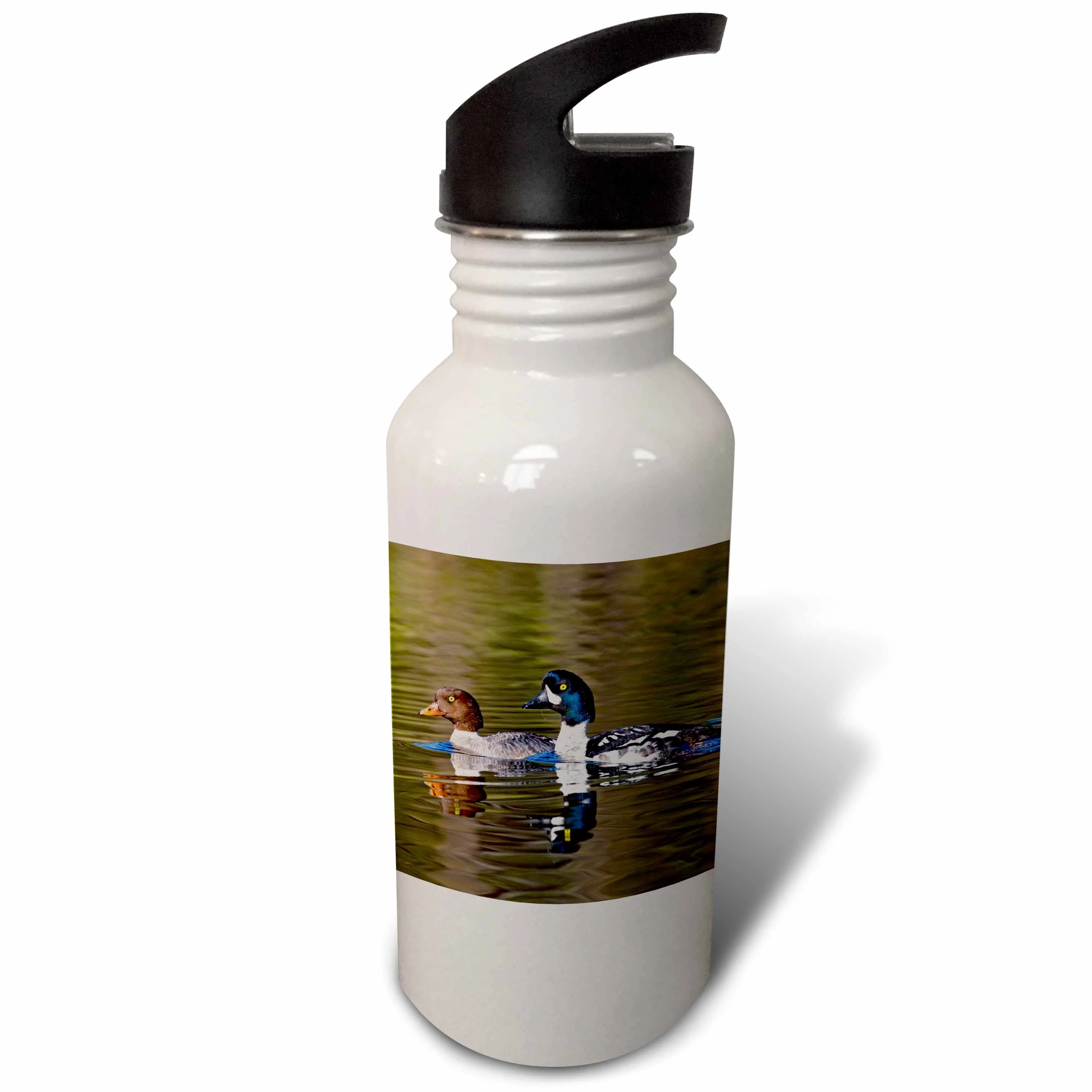 British Columbia, near Kamloops, Common Goldeneye ducks-CN02 LDI0007 - Larry Ditto 21 oz Sports Water Bottle wb-71602-1