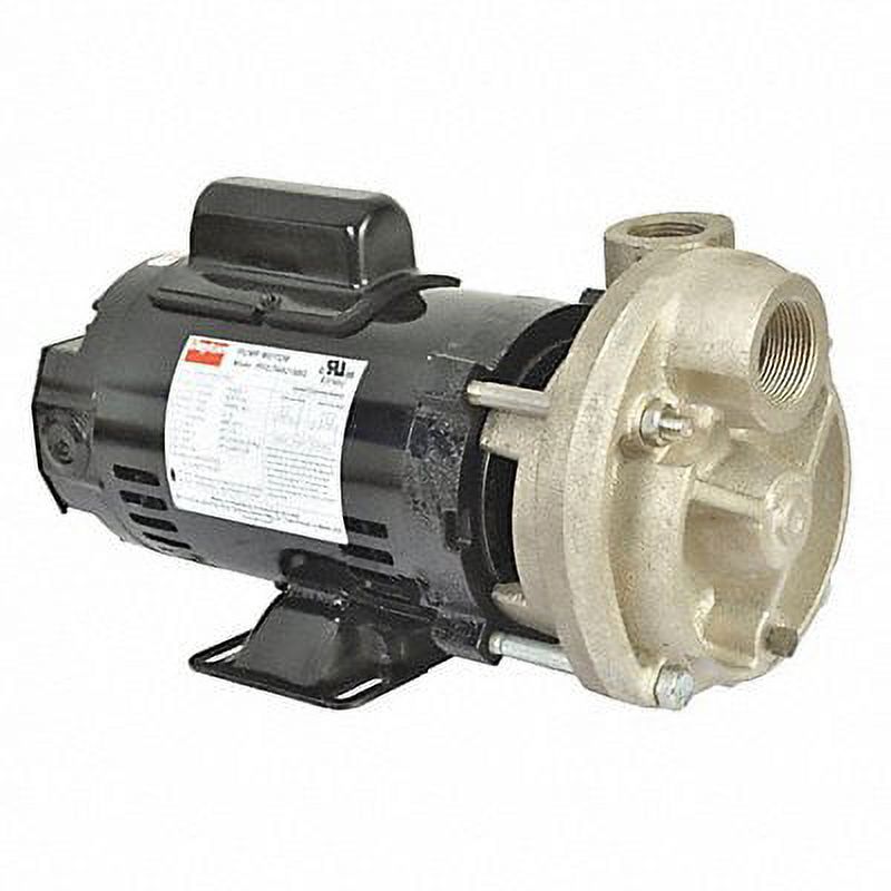 Dayton Turbine Pump,1 HP,115 to 230V,3450 rpm  53EC05